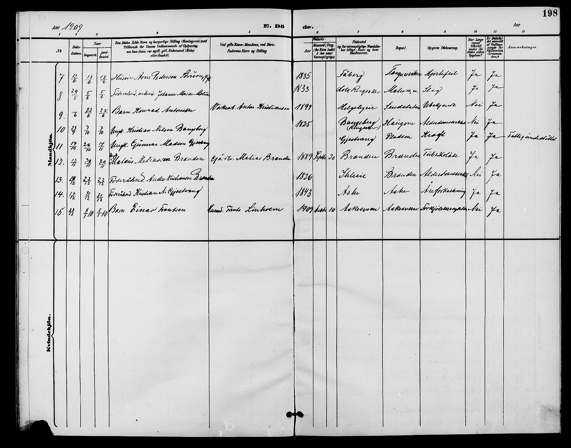 Nes prestekontor, Hedmark, AV/SAH-PREST-020/L/La/L0007: Parish register (copy) no. 7, 1892-1912, p. 198