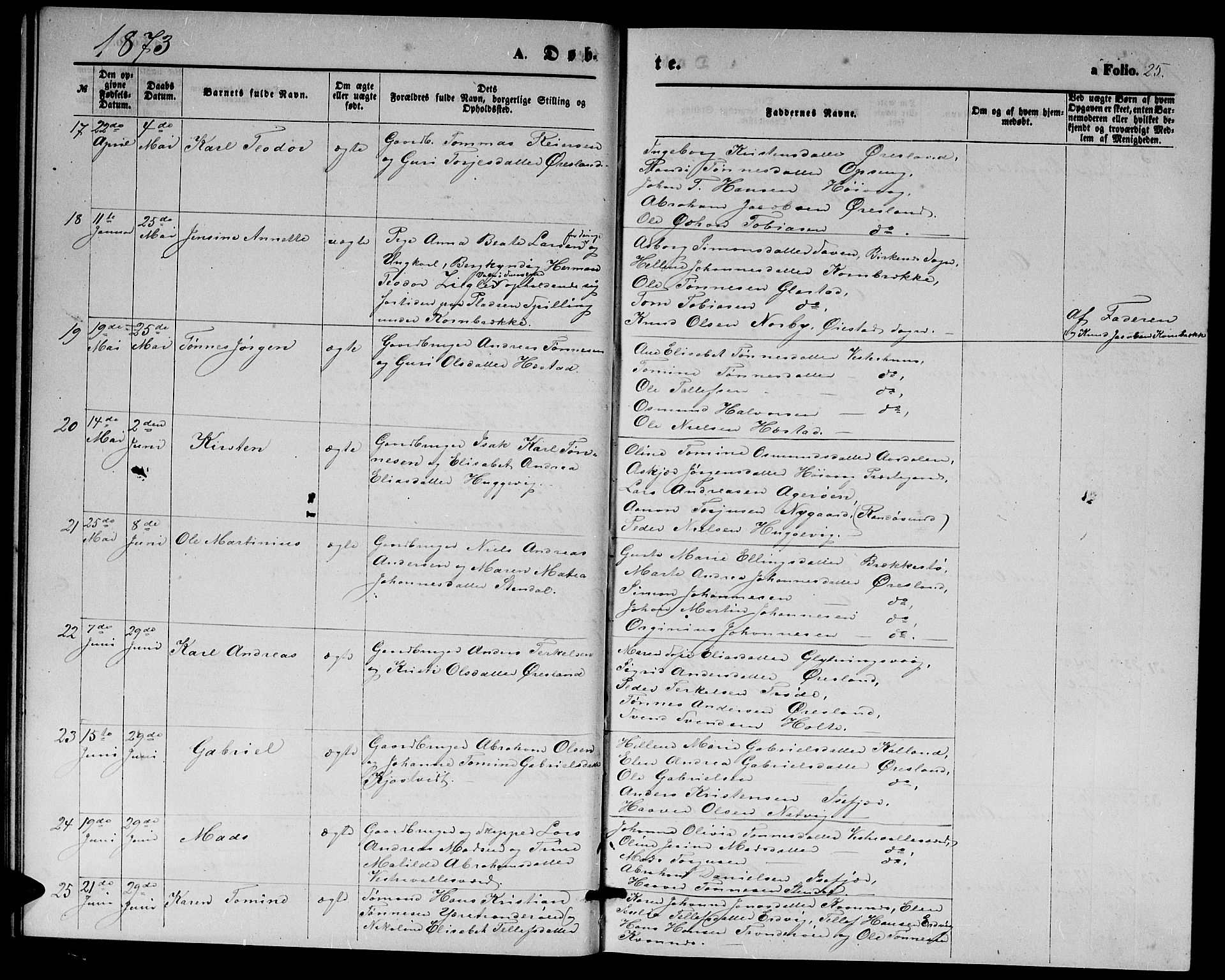 Høvåg sokneprestkontor, AV/SAK-1111-0025/F/Fb/L0003: Parish register (copy) no. B 3, 1870-1882, p. 25