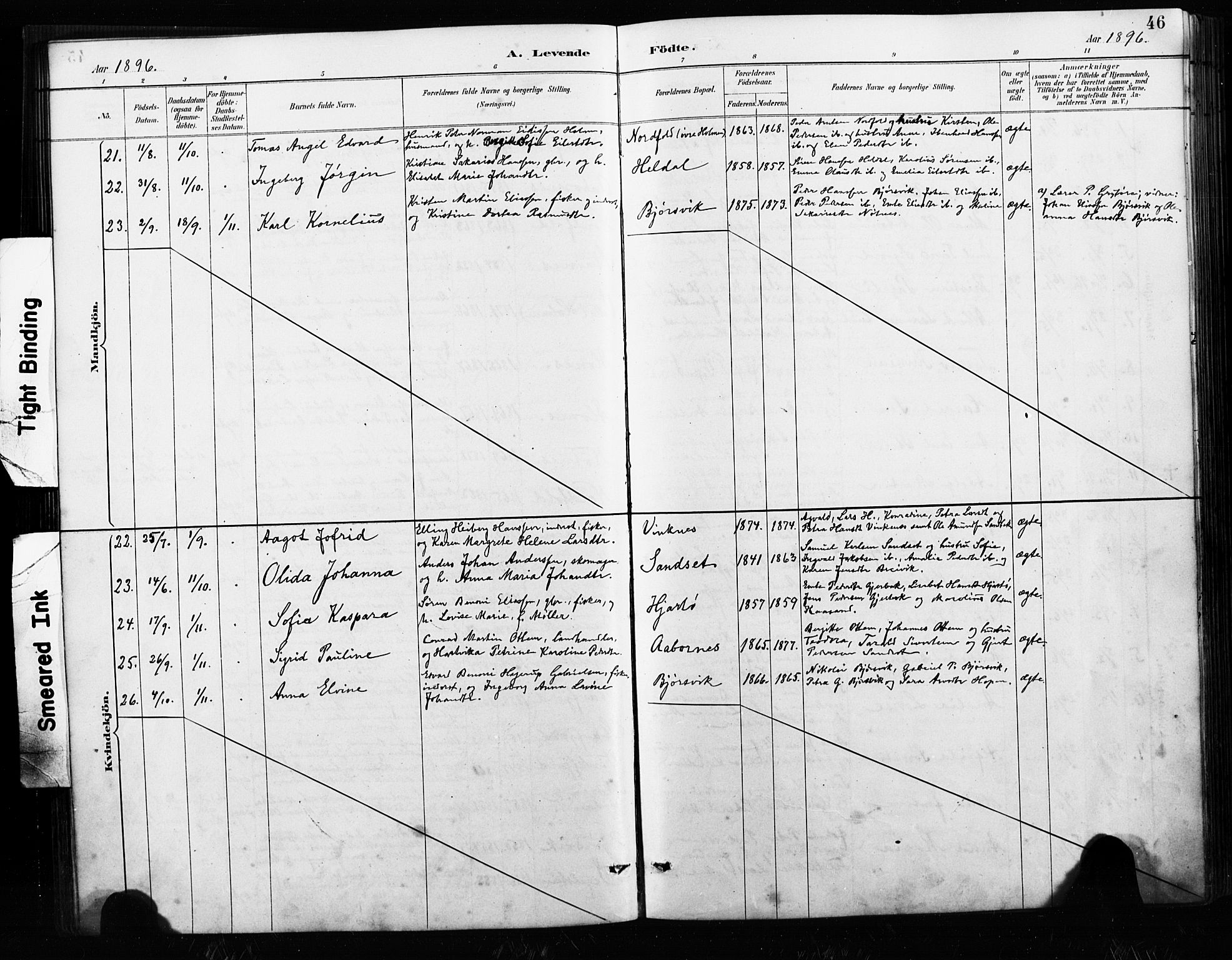 Ministerialprotokoller, klokkerbøker og fødselsregistre - Nordland, AV/SAT-A-1459/858/L0834: Parish register (copy) no. 858C01, 1884-1904, p. 46