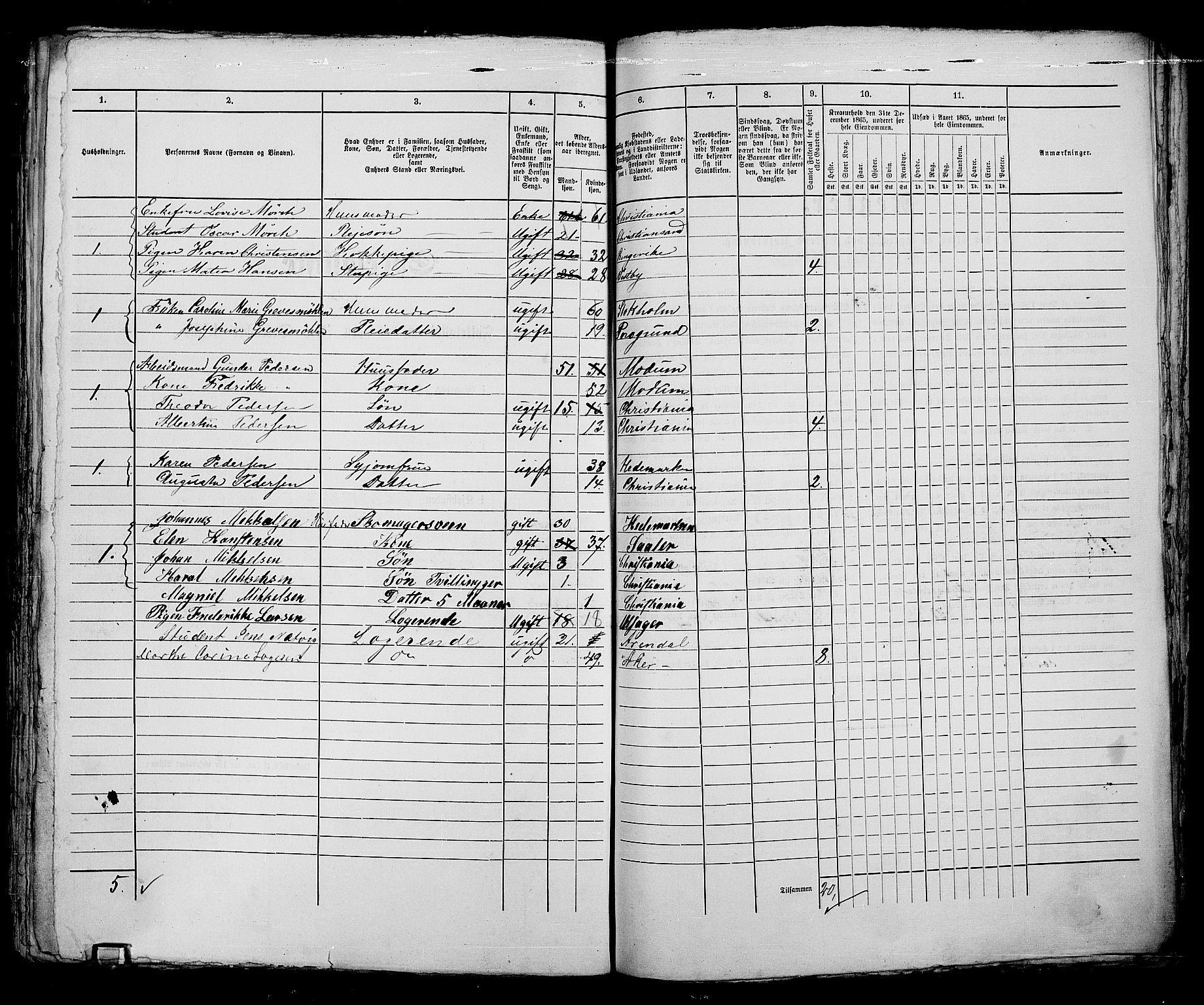 RA, 1865 census for Kristiania, 1865, p. 2106