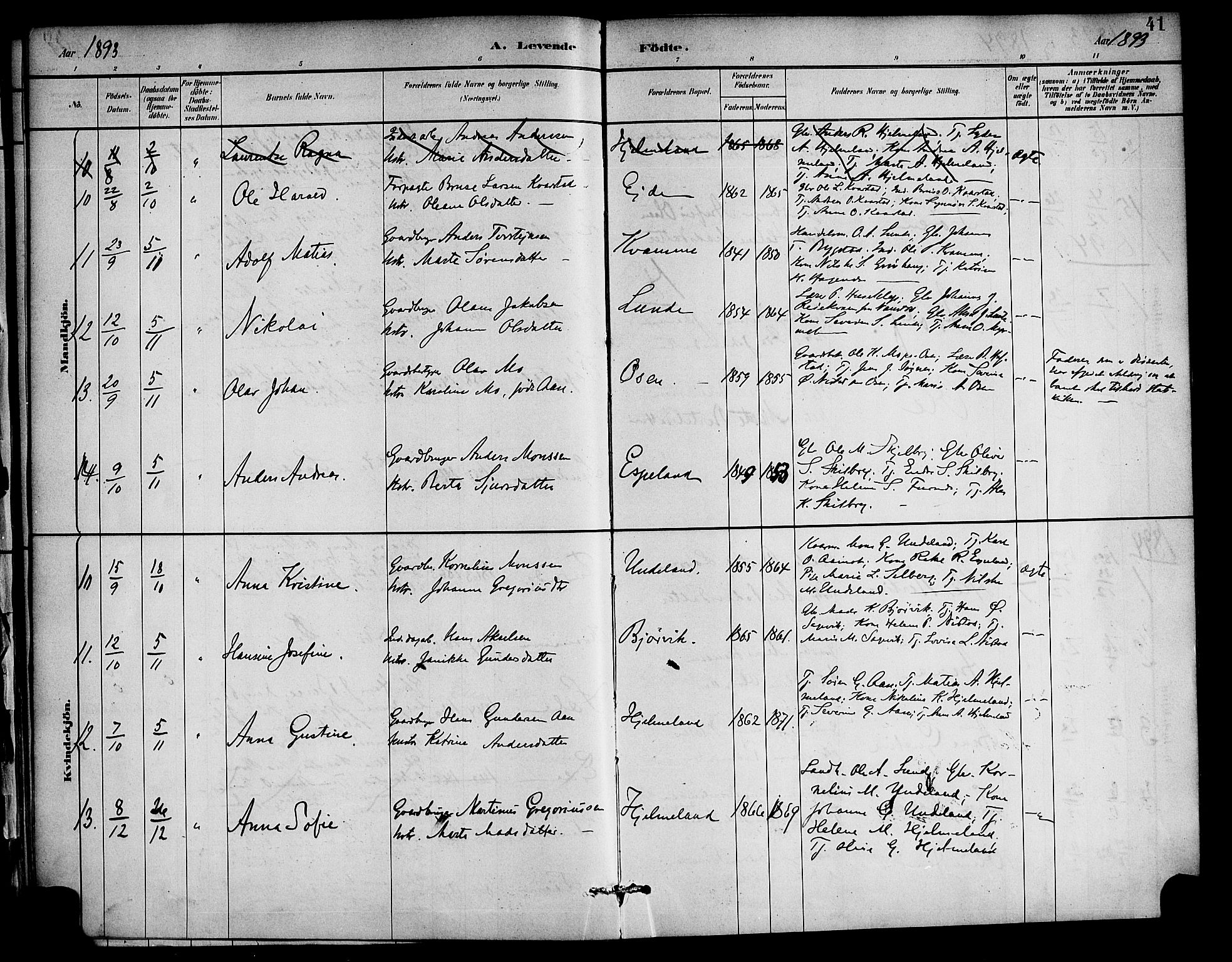 Gaular sokneprestembete, SAB/A-80001/H/Haa: Parish register (official) no. C 1, 1882-1897, p. 41