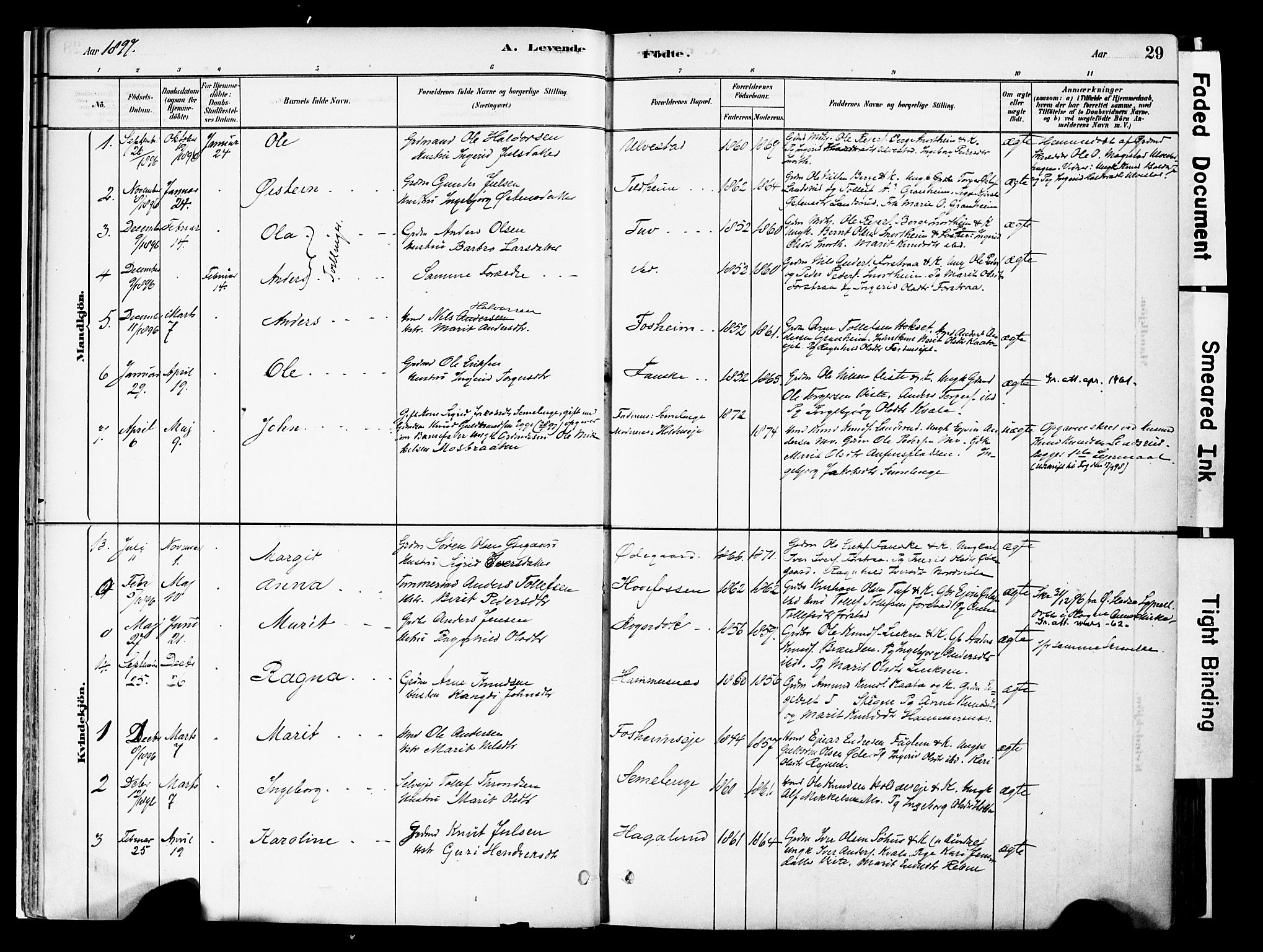 Vestre Slidre prestekontor, SAH/PREST-136/H/Ha/Haa/L0006: Parish register (official) no. 6, 1881-1912, p. 29