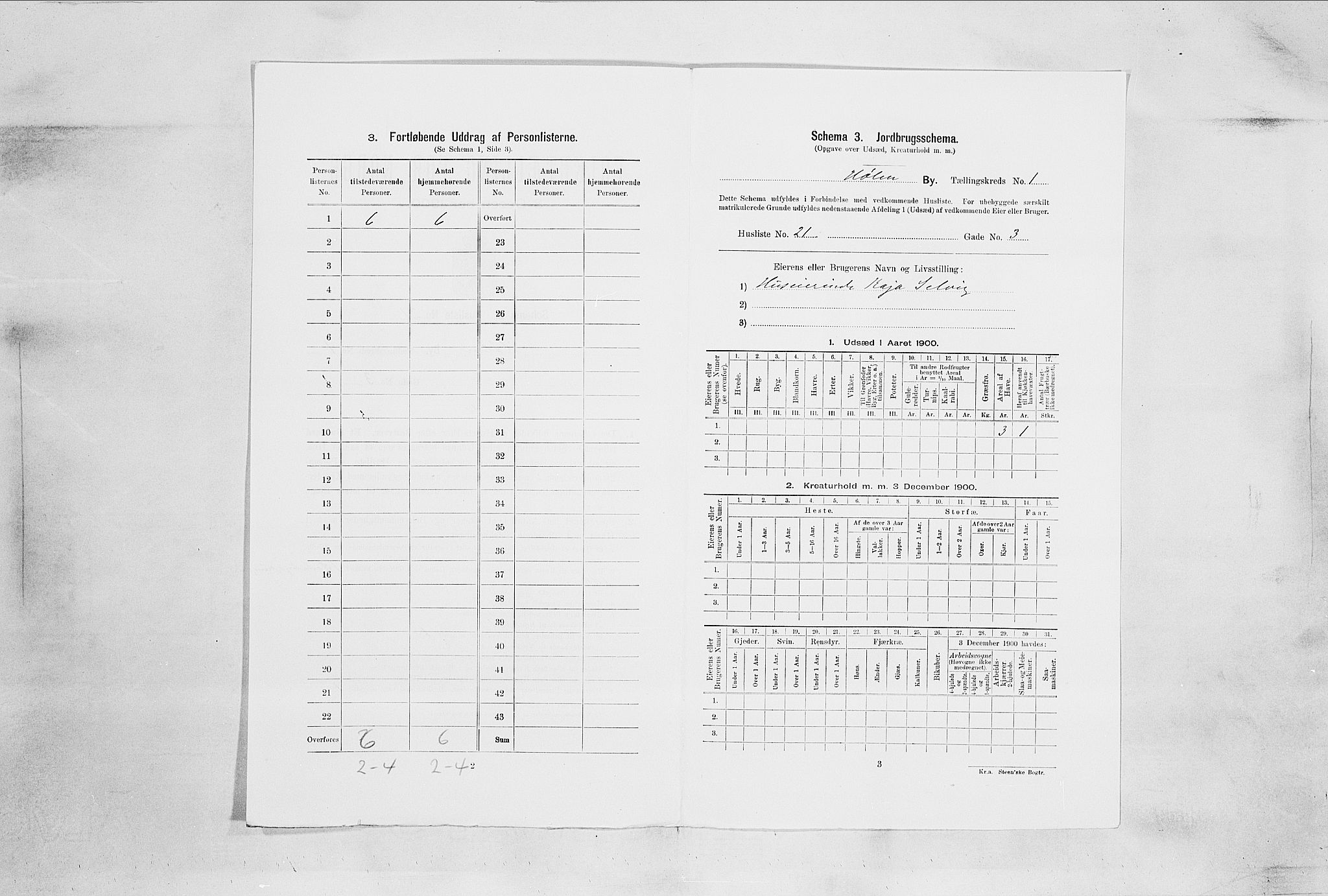 SAO, 1900 census for Hølen, 1900