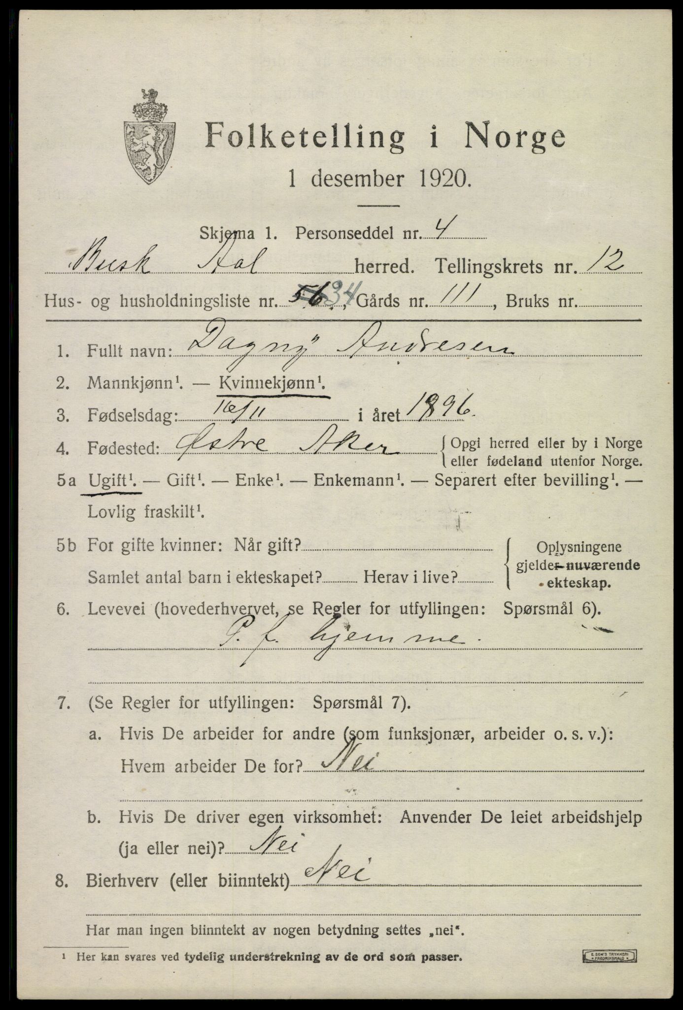 SAKO, 1920 census for Ål, 1920, p. 7028