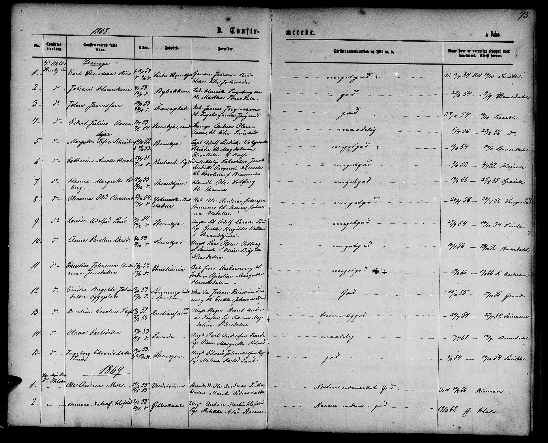 Ministerialprotokoller, klokkerbøker og fødselsregistre - Nord-Trøndelag, SAT/A-1458/739/L0373: Parish register (copy) no. 739C01, 1865-1882, p. 75