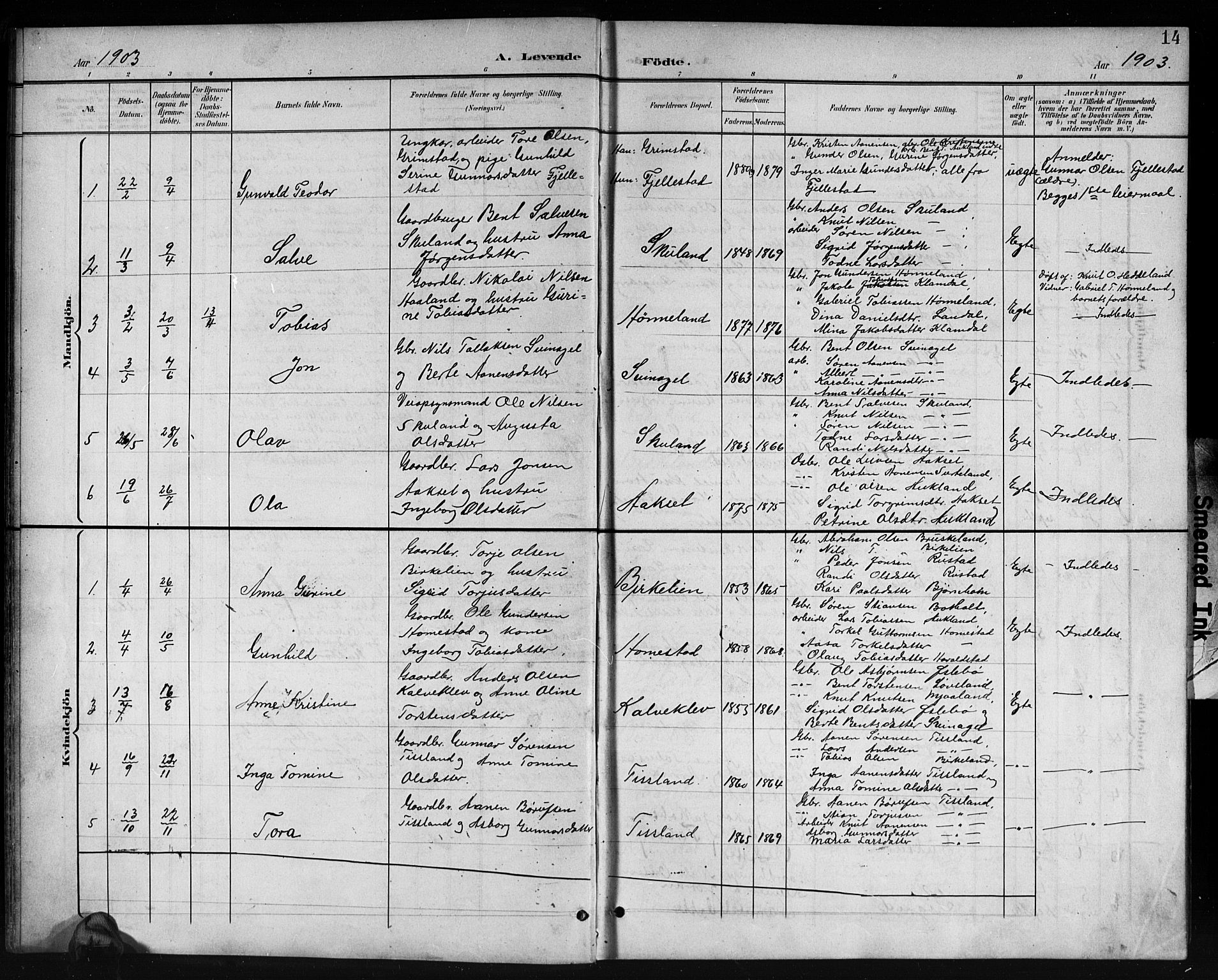 Holum sokneprestkontor, SAK/1111-0022/F/Fb/Fbb/L0004: Parish register (copy) no. B 4, 1899-1920, p. 14