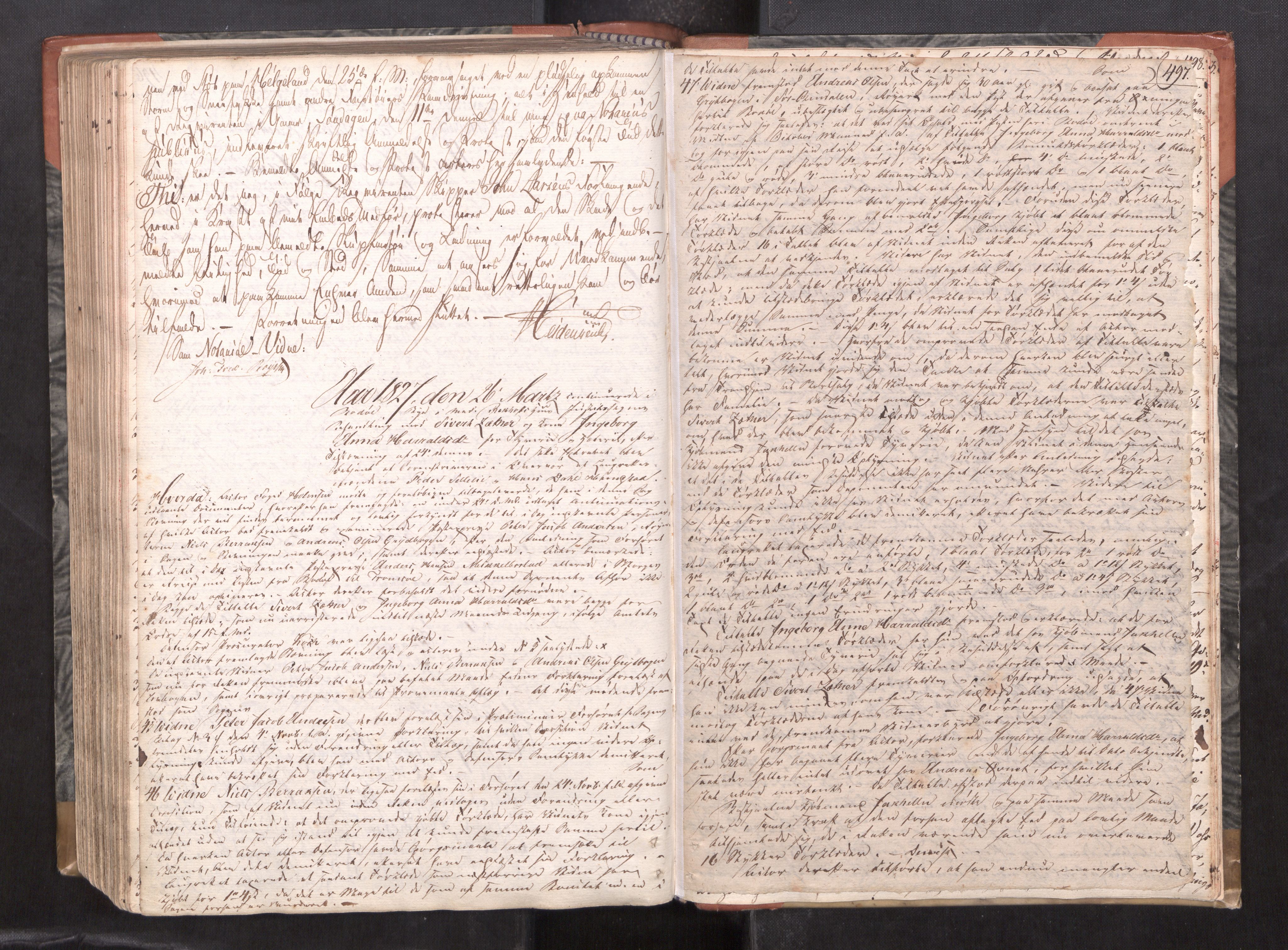 Salten sorenskriveri, AV/SAT-A-4578/1/1/1A/L0021: Tingbok, fol. 271-504., 1823-1827, p. 496b-497a