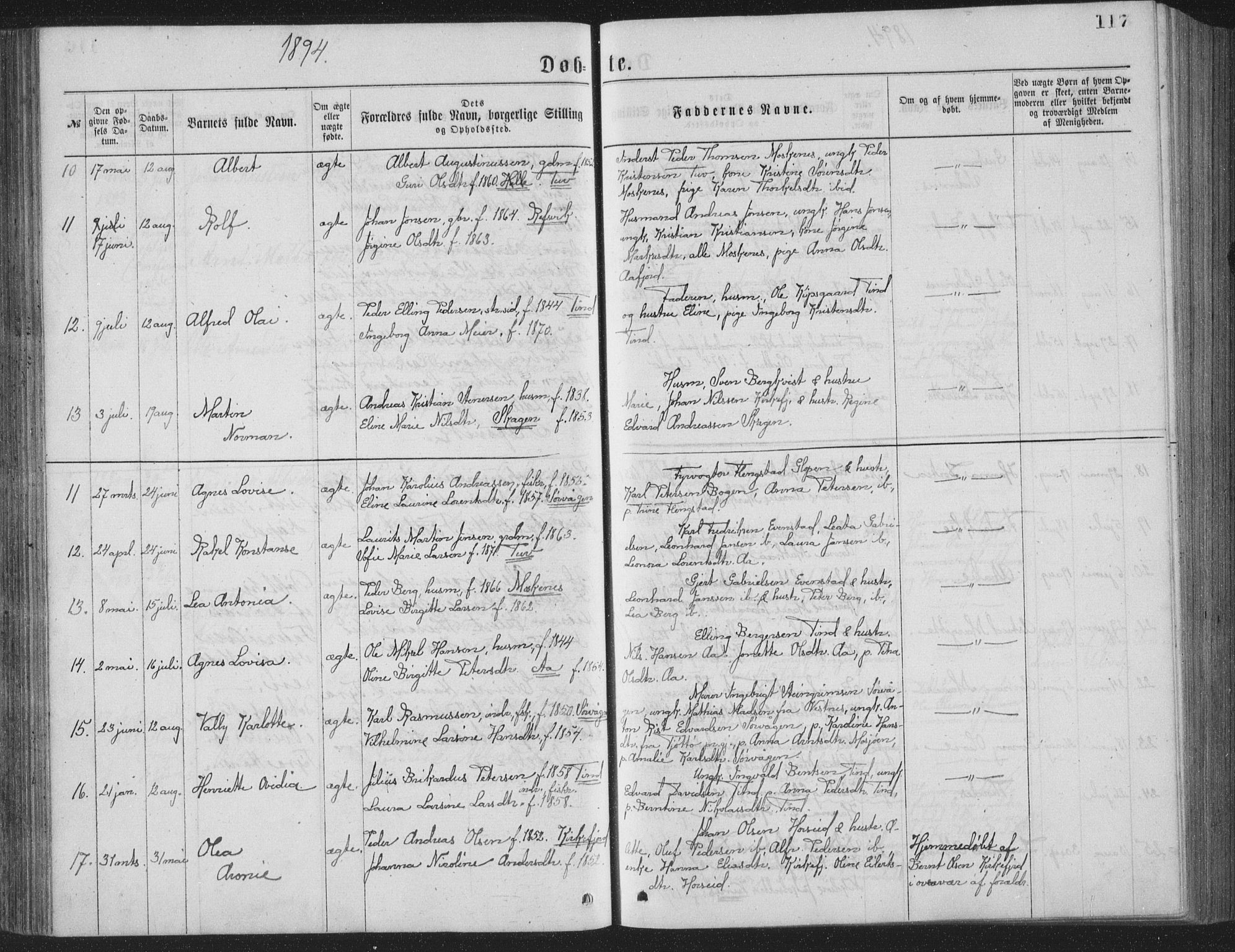 Ministerialprotokoller, klokkerbøker og fødselsregistre - Nordland, AV/SAT-A-1459/886/L1225: Parish register (copy) no. 886C02, 1874-1896, p. 117