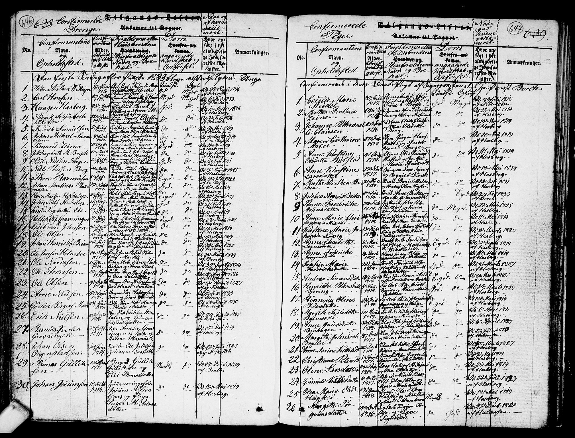 Kongsberg kirkebøker, AV/SAKO-A-22/G/Ga/L0001: Parish register (copy) no. 1, 1816-1839, p. 646-647
