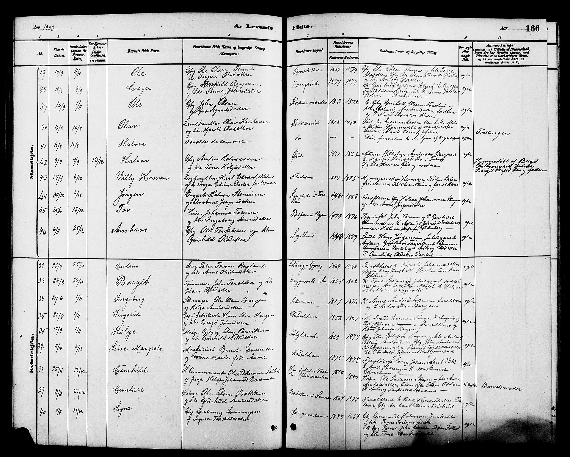 Heddal kirkebøker, SAKO/A-268/G/Ga/L0002: Parish register (copy) no. I 2, 1879-1908, p. 166