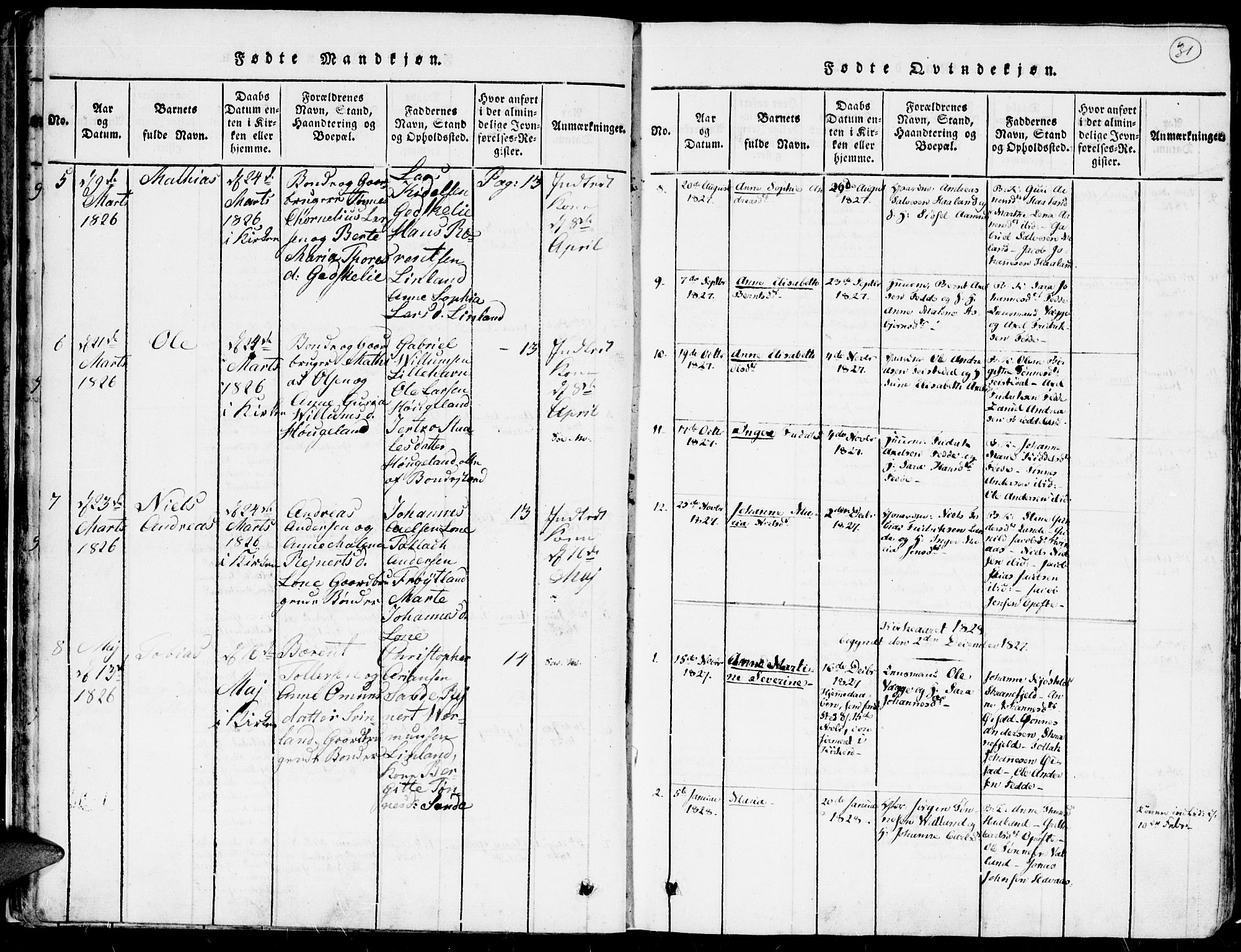 Kvinesdal sokneprestkontor, AV/SAK-1111-0026/F/Fa/Faa/L0001: Parish register (official) no. A 1, 1815-1849, p. 31