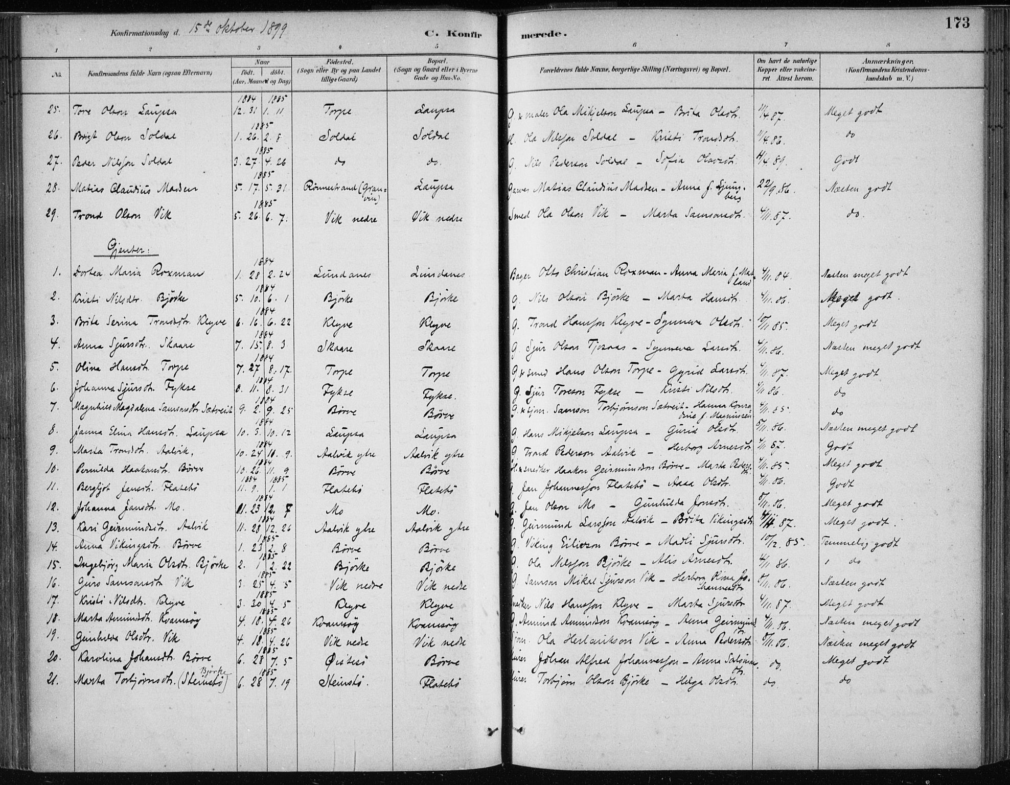 Kvam sokneprestembete, AV/SAB-A-76201/H/Haa: Parish register (official) no. C  1, 1880-1906, p. 173