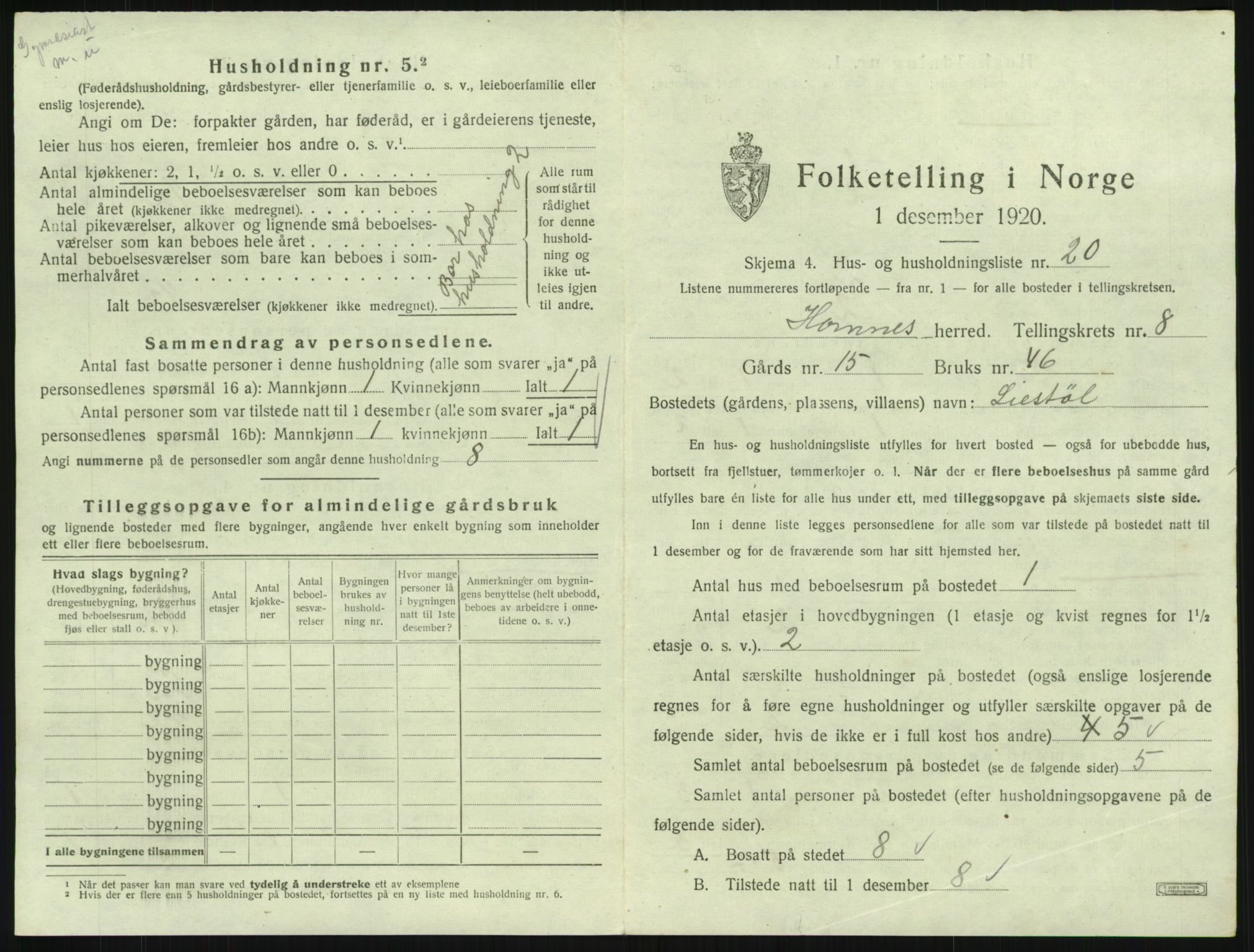 SAK, 1920 census for Hornnes, 1920, p. 333