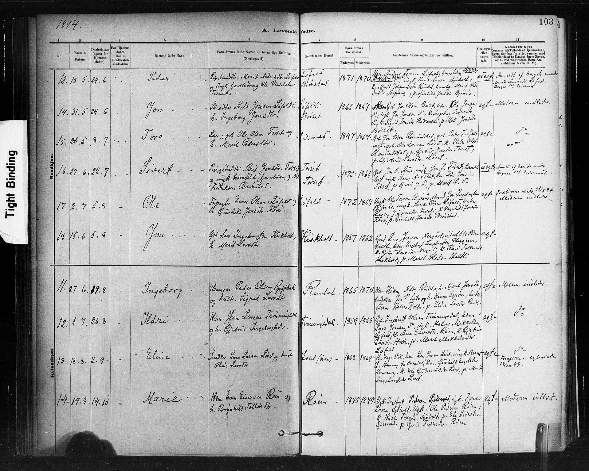 Ministerialprotokoller, klokkerbøker og fødselsregistre - Møre og Romsdal, AV/SAT-A-1454/598/L1069: Parish register (official) no. 598A03, 1882-1895, p. 103