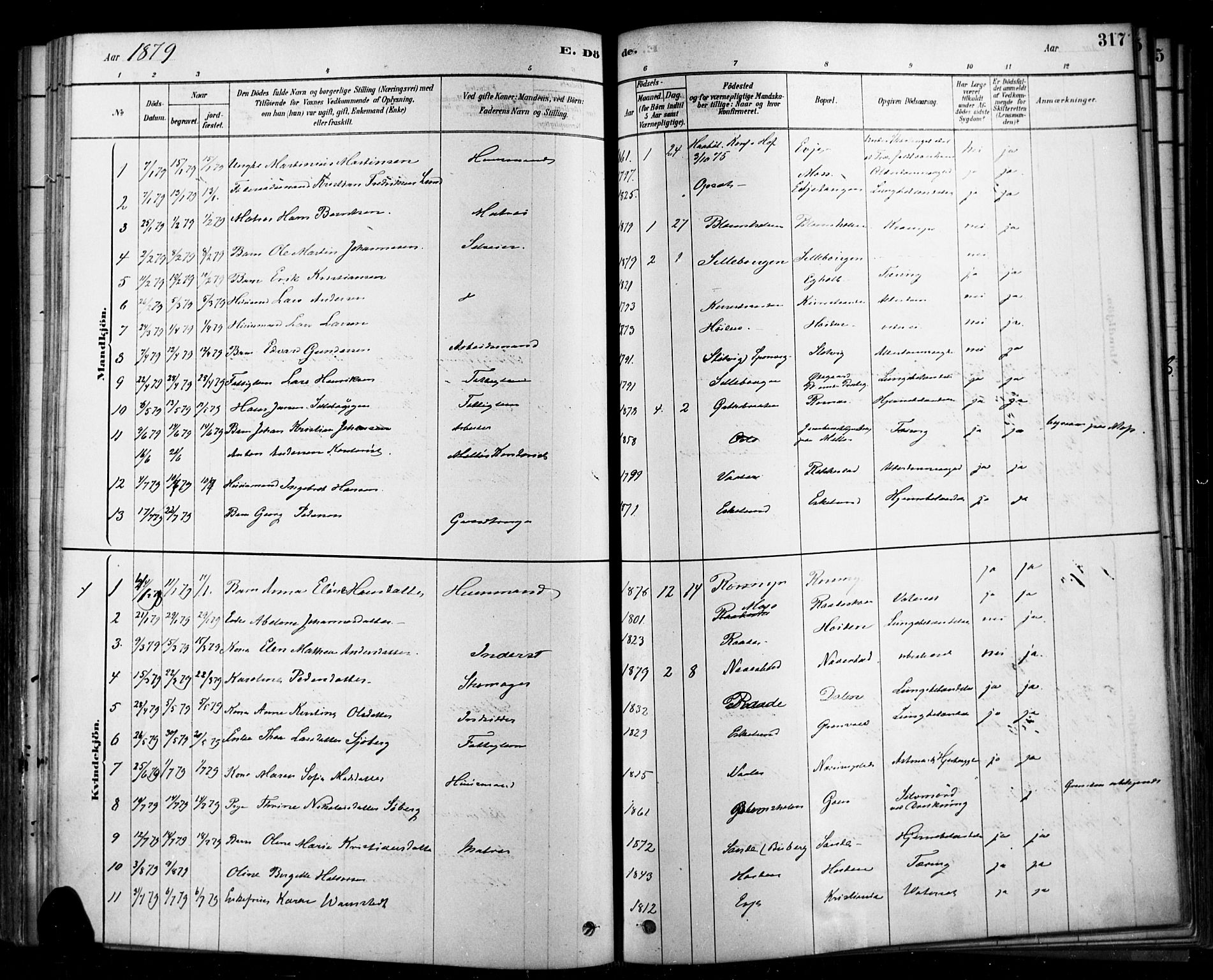 Rygge prestekontor Kirkebøker, AV/SAO-A-10084b/F/Fa/L0007: Parish register (official) no. 7, 1878-1904, p. 317