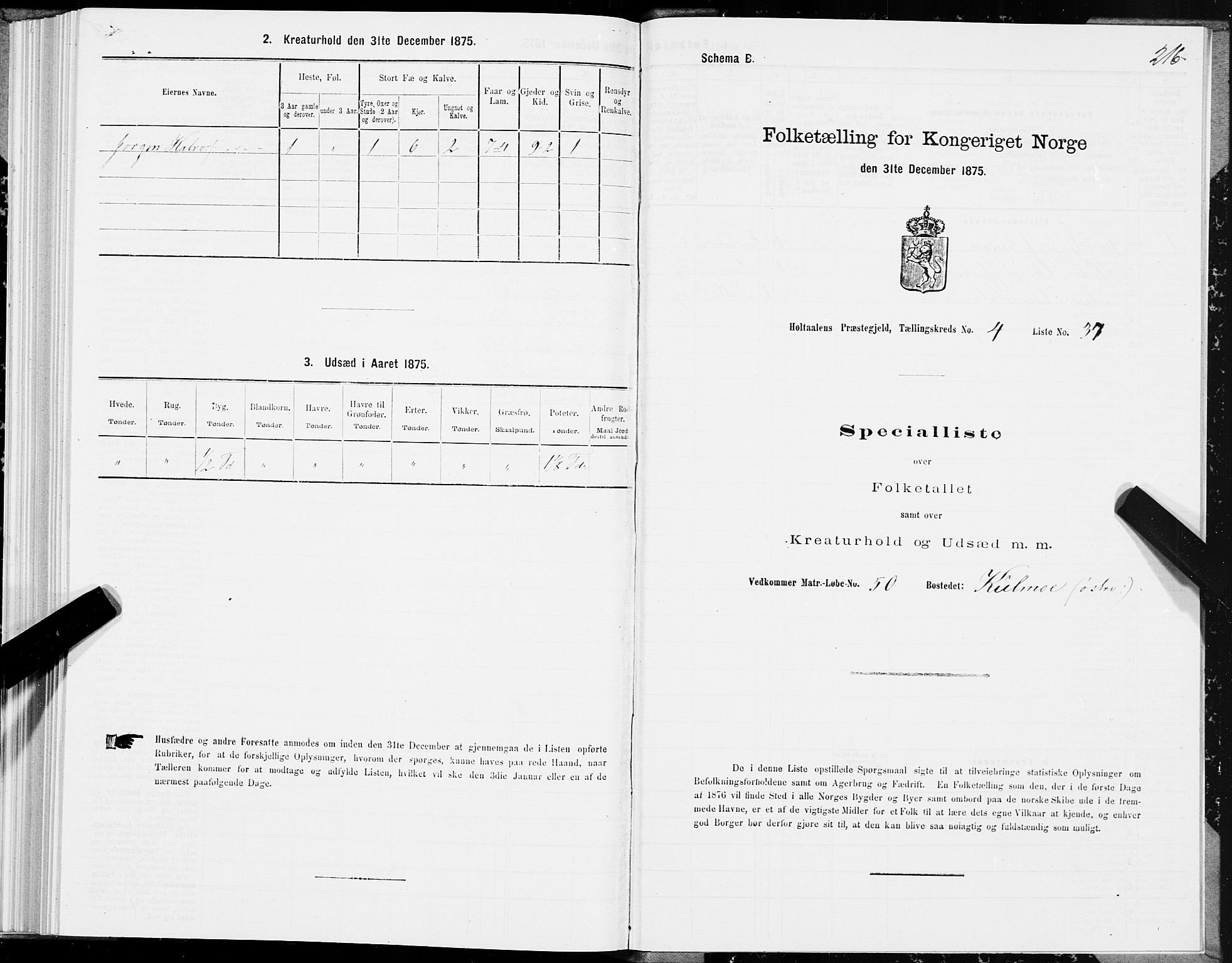 SAT, 1875 census for 1645P Haltdalen, 1875, p. 3216