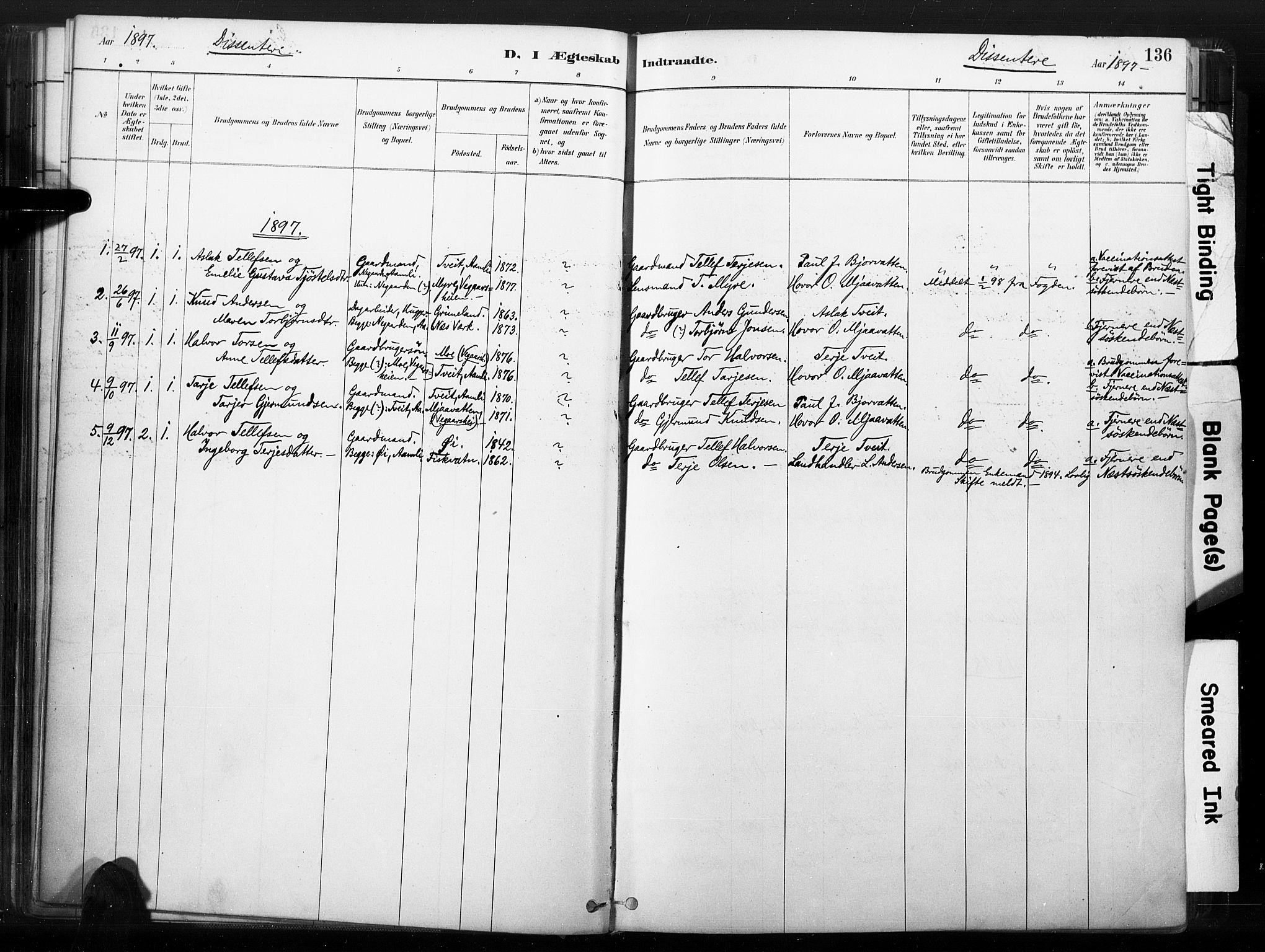 Åmli sokneprestkontor, SAK/1111-0050/F/Fa/Fac/L0010: Parish register (official) no. A 10 /1, 1885-1899, p. 136