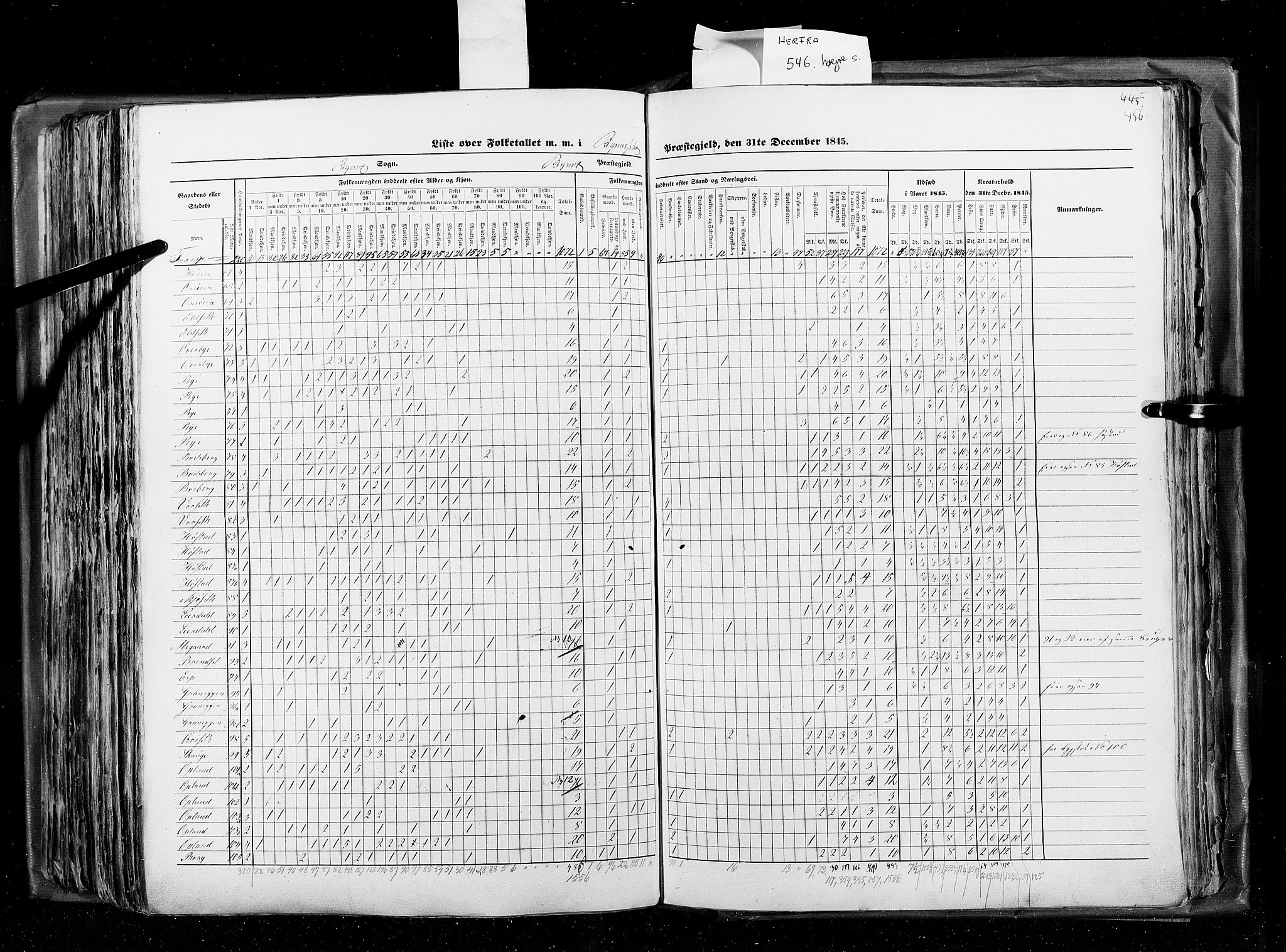 RA, Census 1845, vol. 8: Romsdal amt og Søndre Trondhjems amt, 1845, p. 456