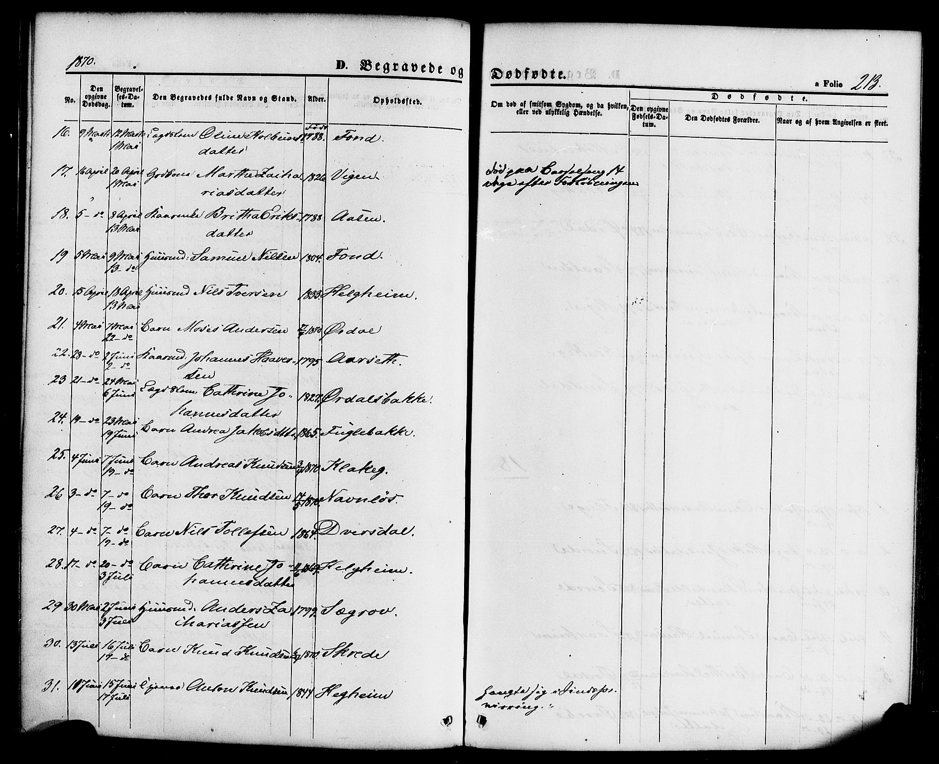 Jølster sokneprestembete, AV/SAB-A-80701/H/Haa/Haaa/L0011: Parish register (official) no. A 11, 1866-1881, p. 213