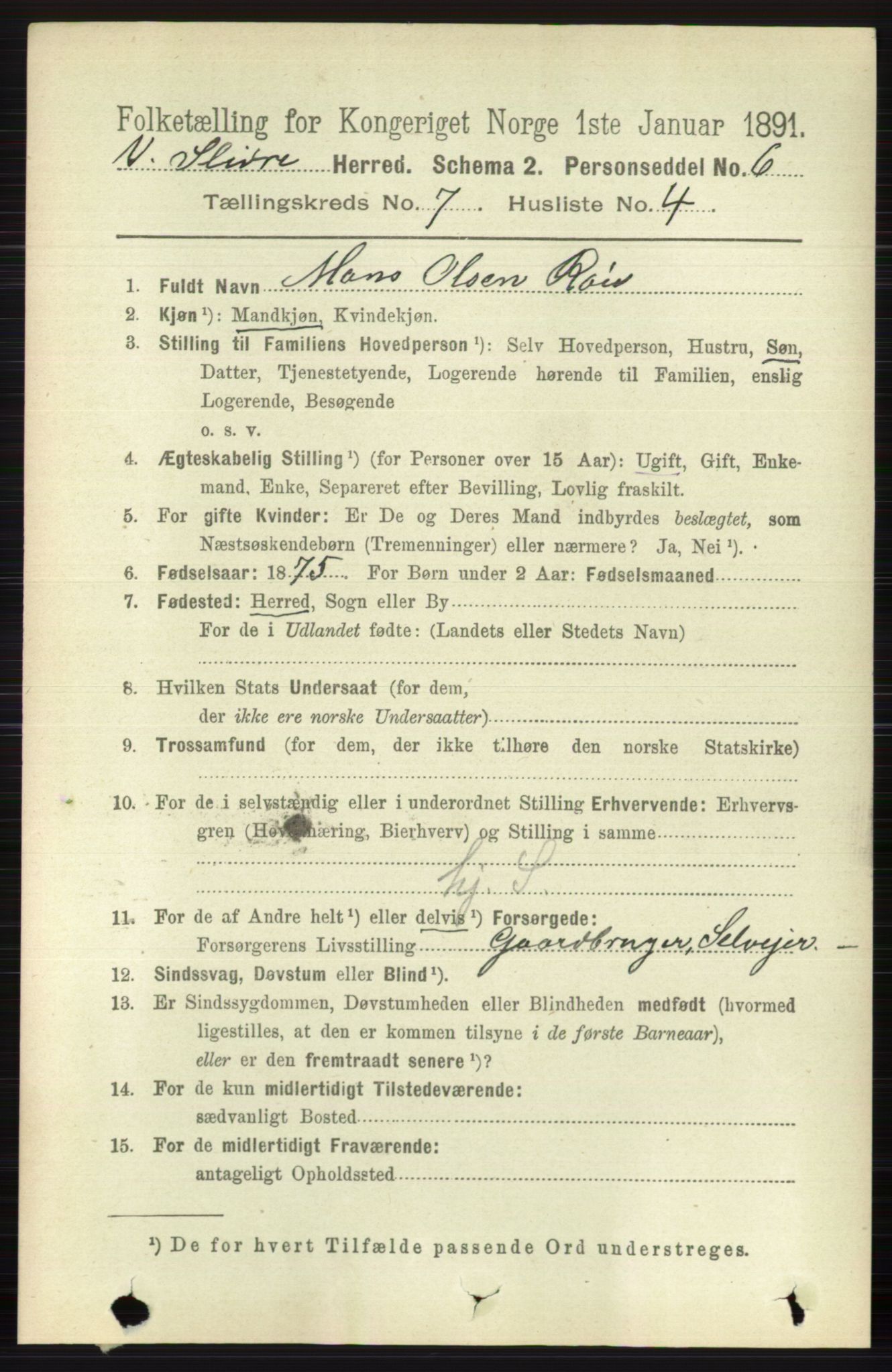 RA, 1891 census for 0543 Vestre Slidre, 1891, p. 2607