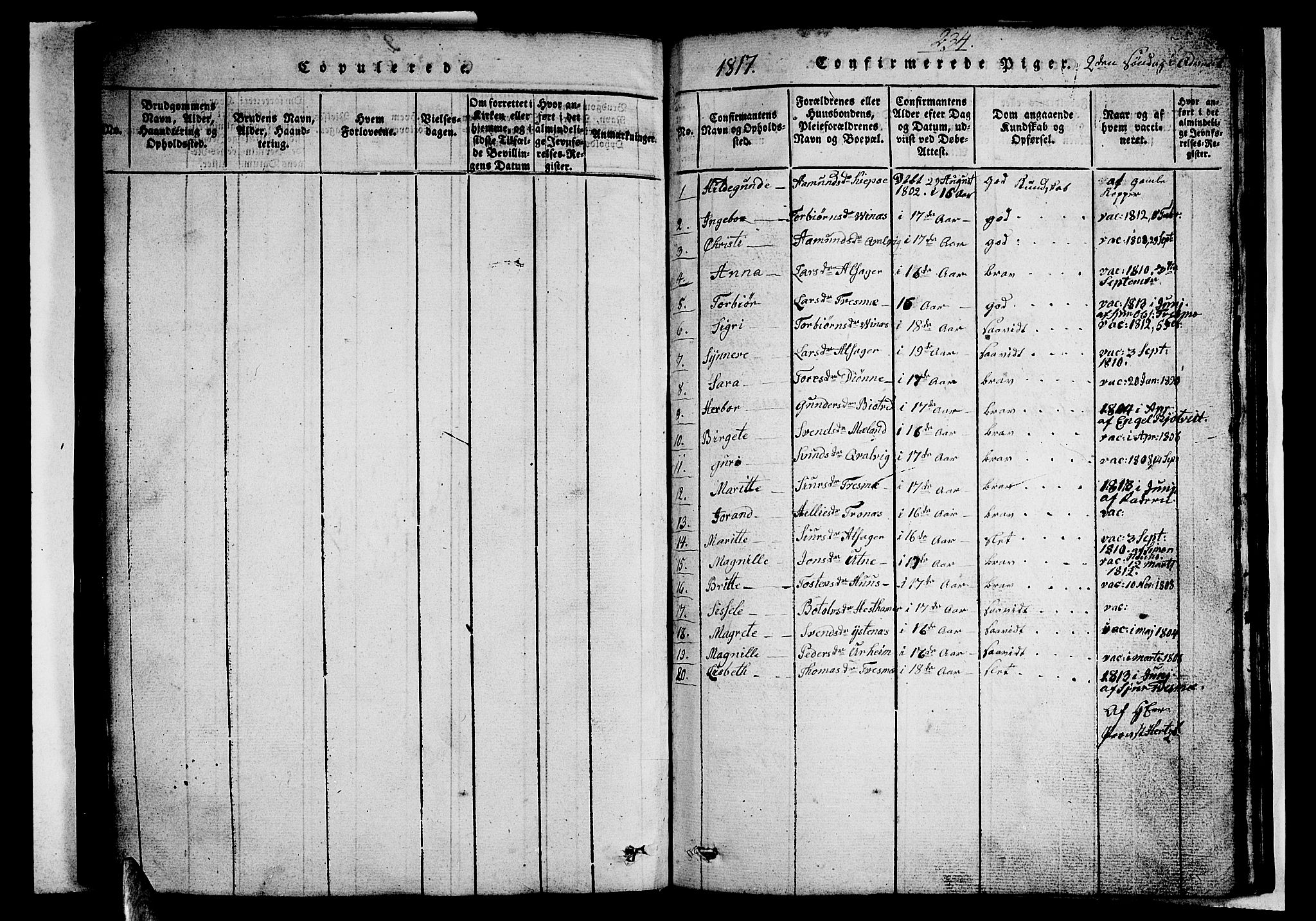 Ullensvang sokneprestembete, SAB/A-78701/H/Hab: Parish register (copy) no. A 3, 1817-1825, p. 234