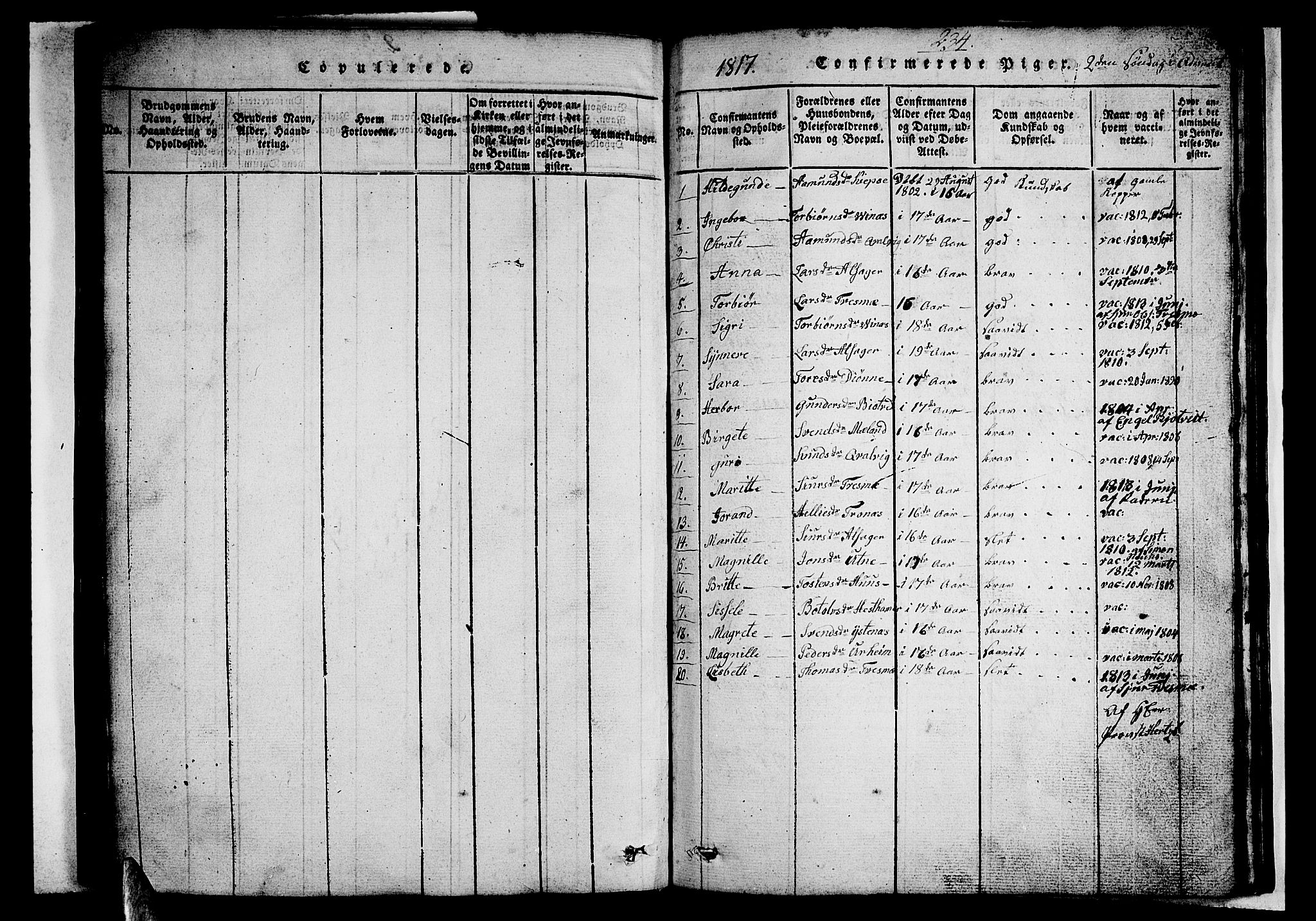 Ullensvang sokneprestembete, AV/SAB-A-78701/H/Hab: Parish register (copy) no. A 3, 1817-1825, p. 234