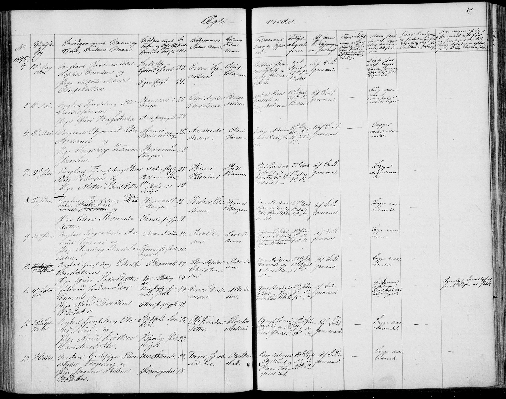Skoger kirkebøker, SAKO/A-59/F/Fa/L0003: Parish register (official) no. I 3, 1842-1861, p. 251
