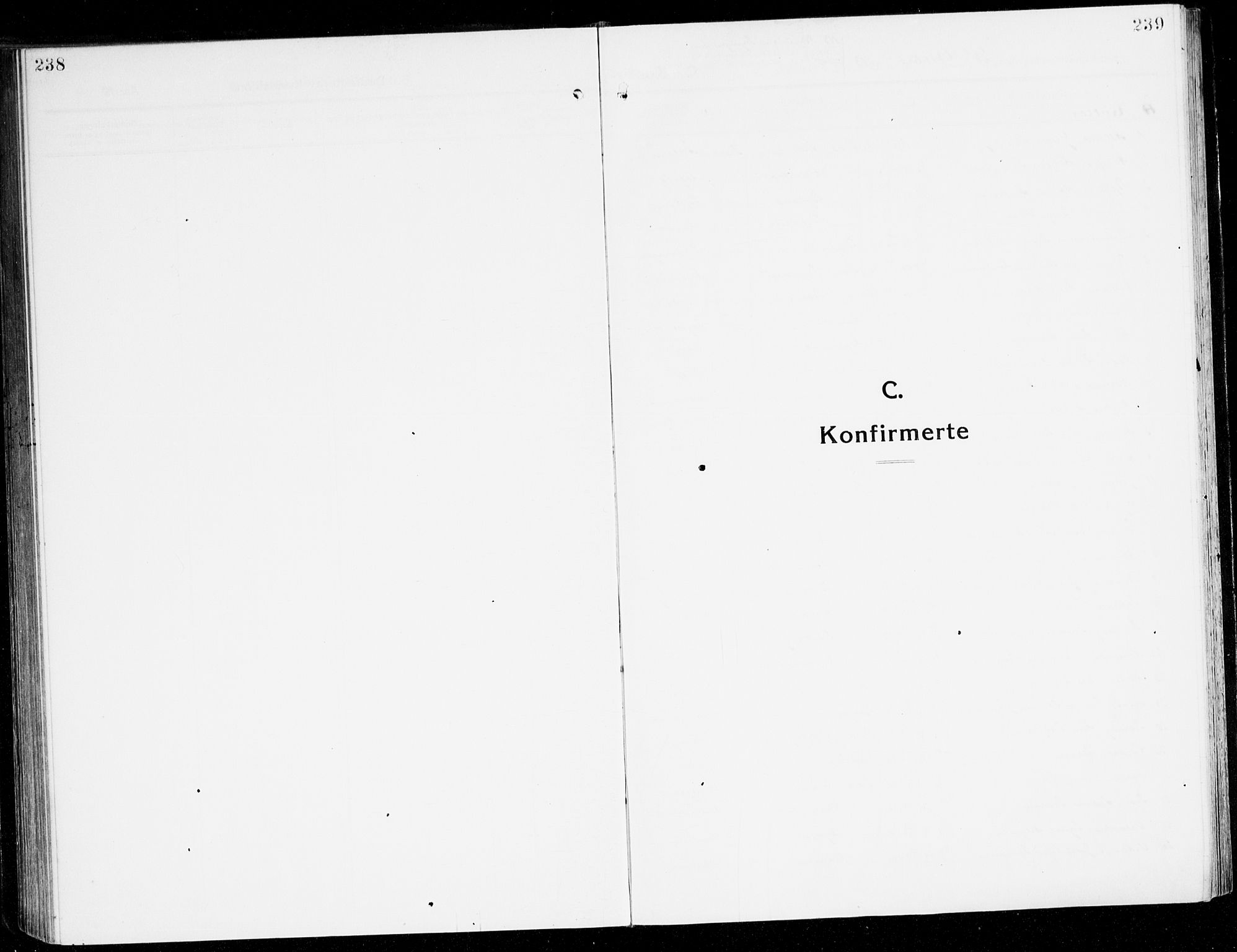 Stord sokneprestembete, AV/SAB-A-78201/H/Haa: Parish register (official) no. B 3, 1913-1925, p. 238-239