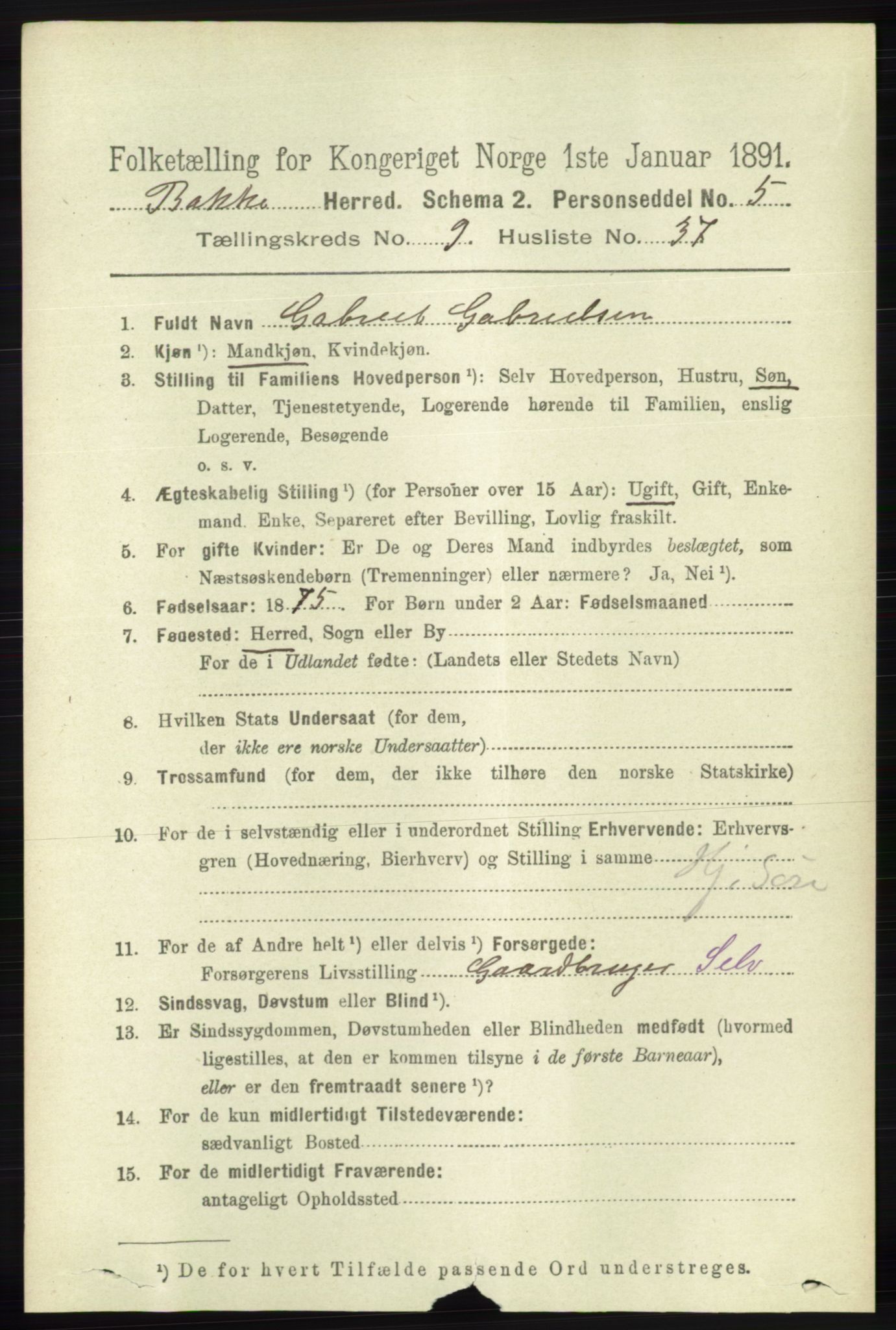 RA, 1891 census for 1045 Bakke, 1891, p. 1958