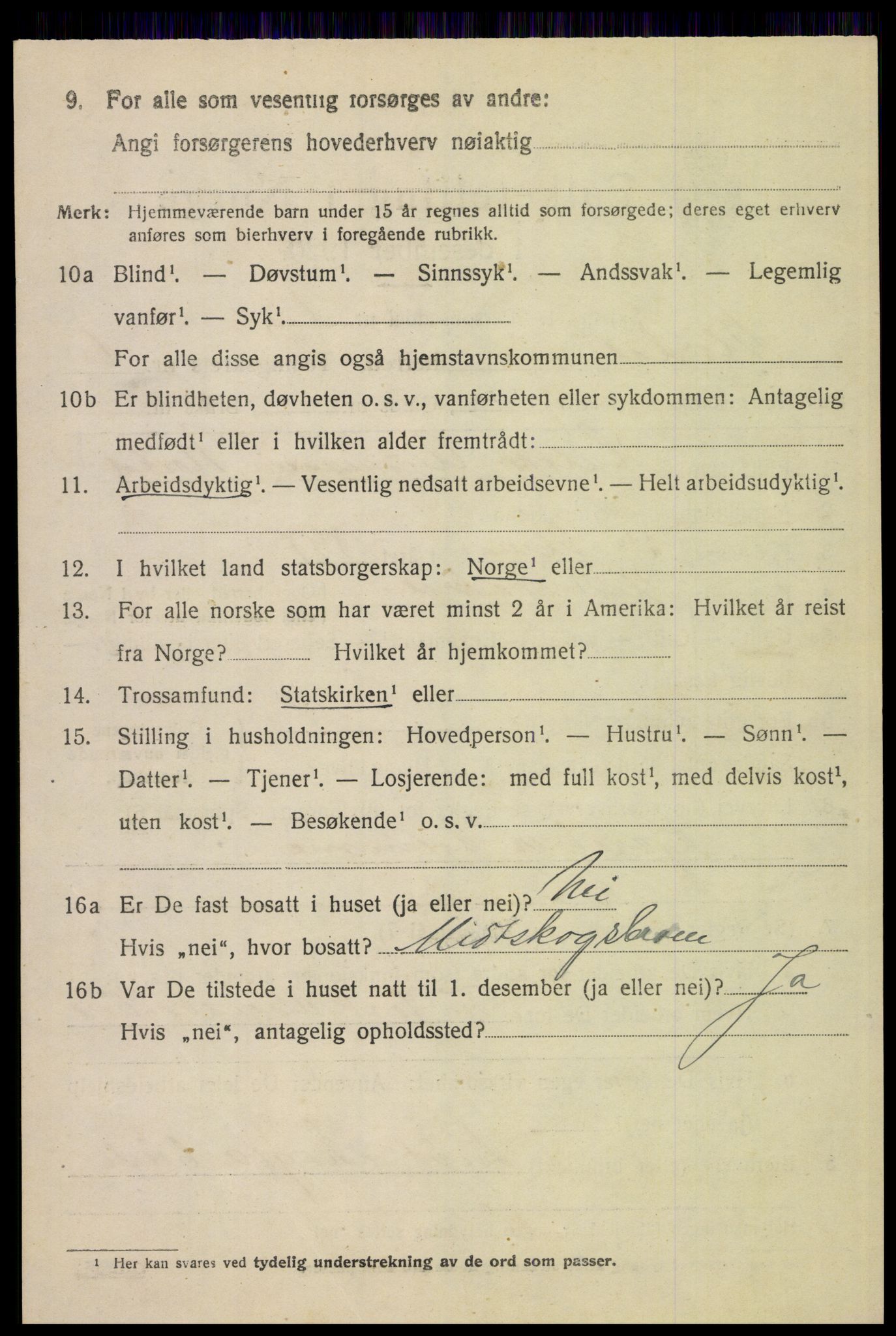 SAH, 1920 census for Alvdal, 1920, p. 3973