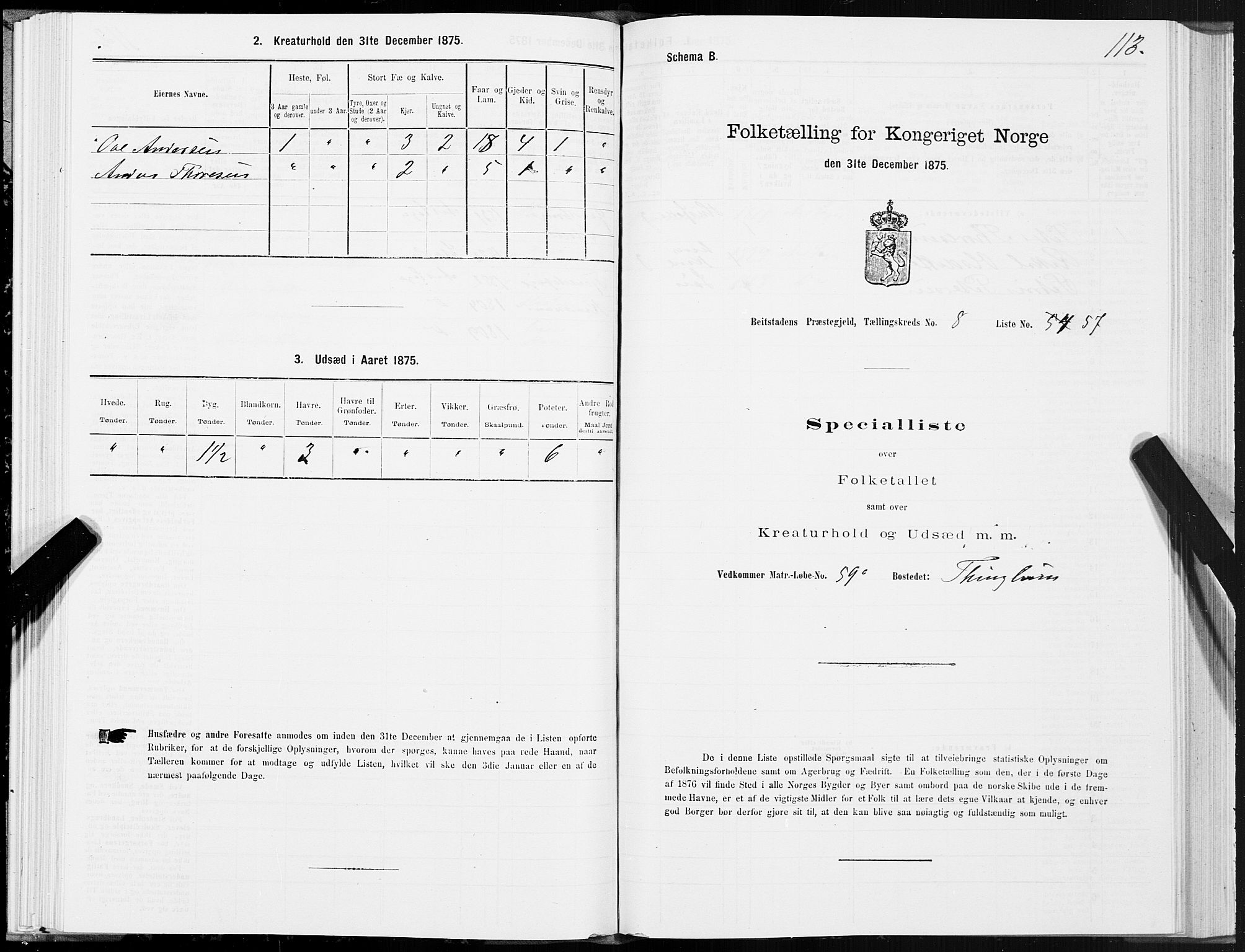 SAT, 1875 census for 1727P Beitstad, 1875, p. 6113