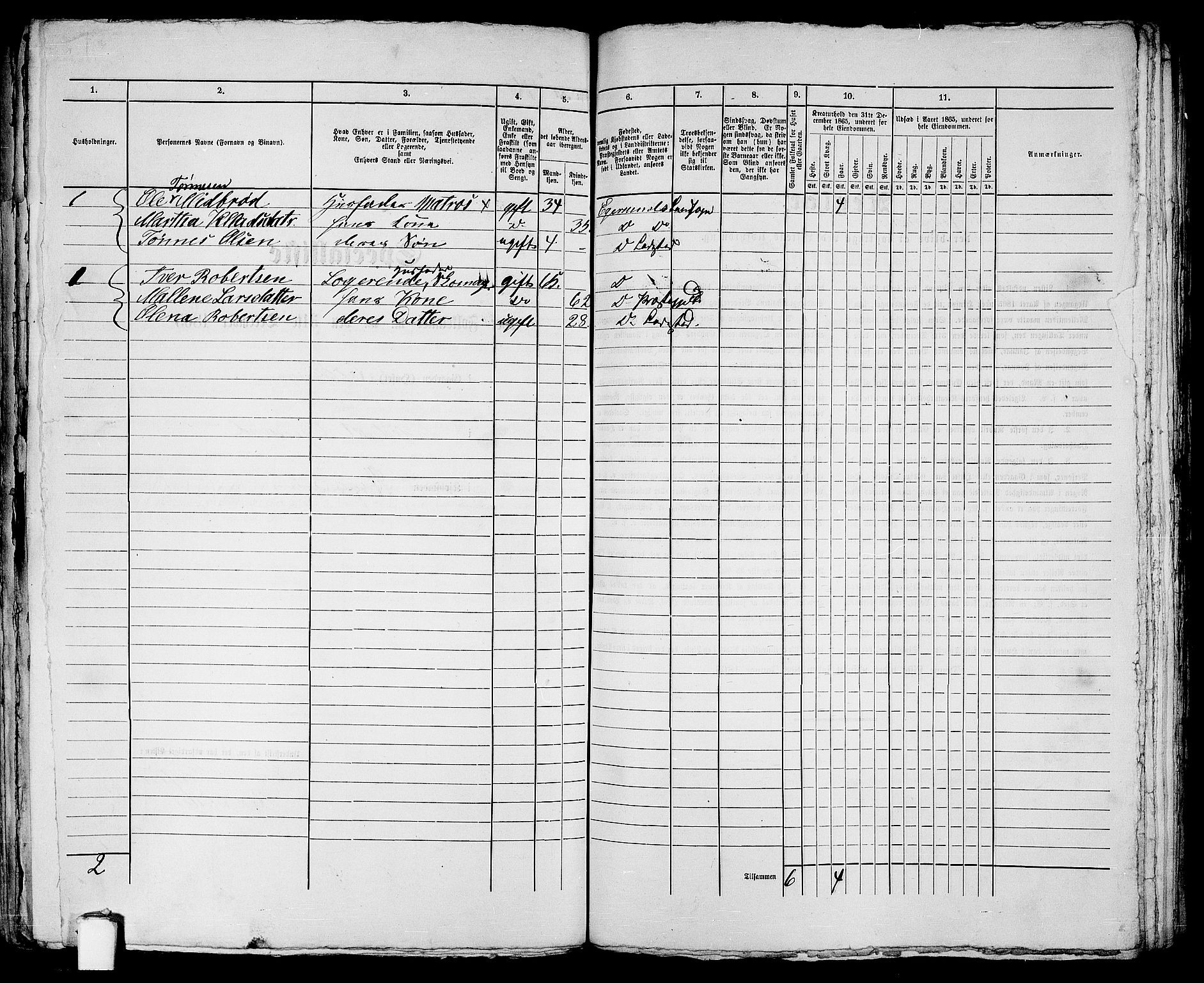 RA, 1865 census for Eigersund parish, Egersund town, 1865, p. 243