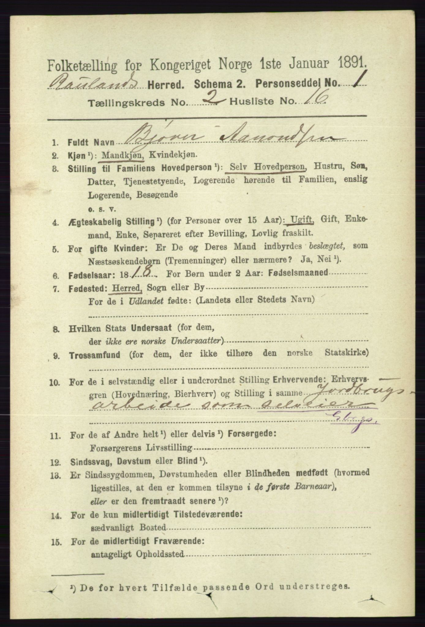 RA, 1891 census for 0835 Rauland, 1891, p. 354