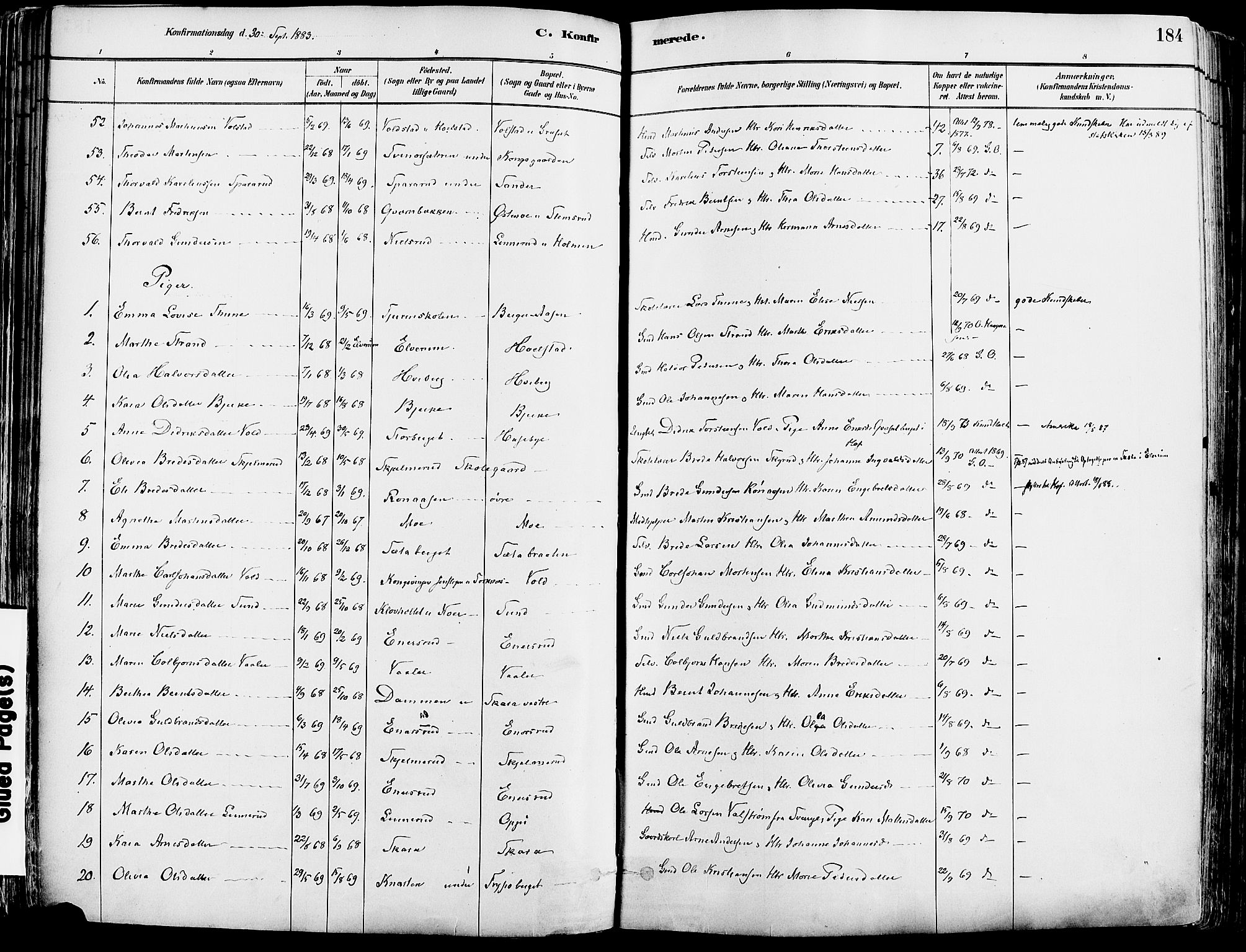 Grue prestekontor, AV/SAH-PREST-036/H/Ha/Haa/L0012: Parish register (official) no. 12, 1881-1897, p. 184