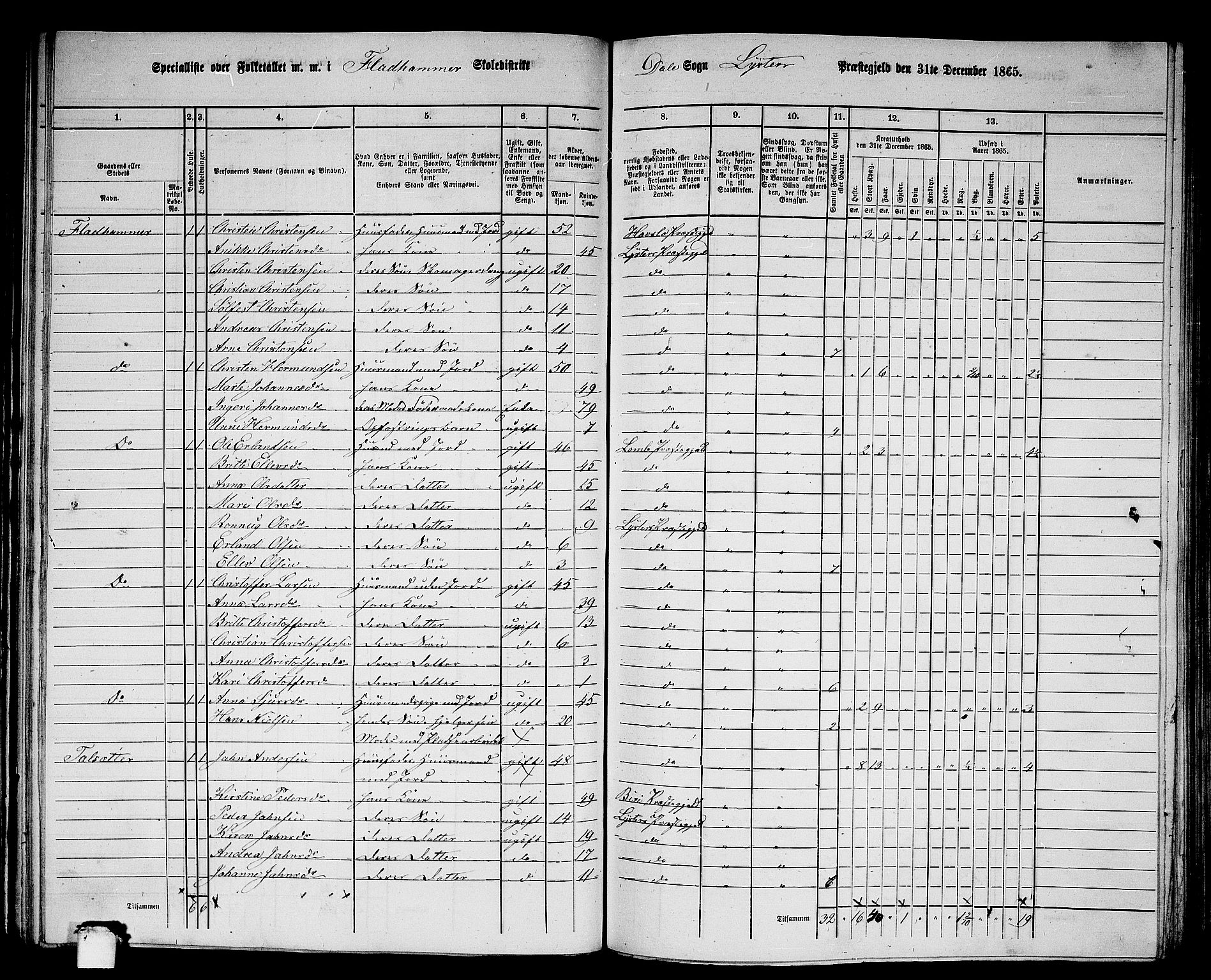 RA, 1865 census for Luster, 1865, p. 71