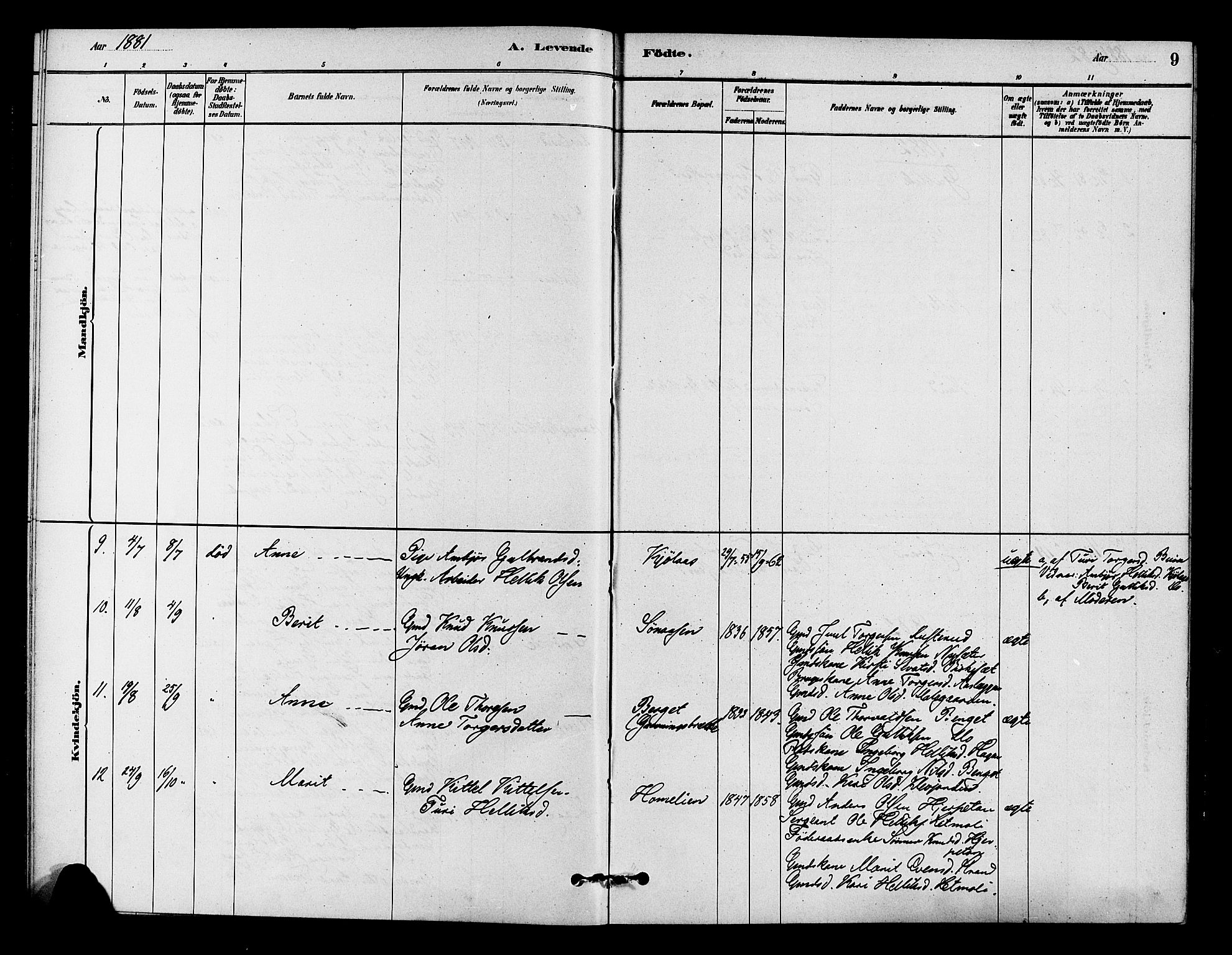 Flesberg kirkebøker, AV/SAKO-A-18/F/Fc/L0001: Parish register (official) no. III 1, 1879-1905, p. 9