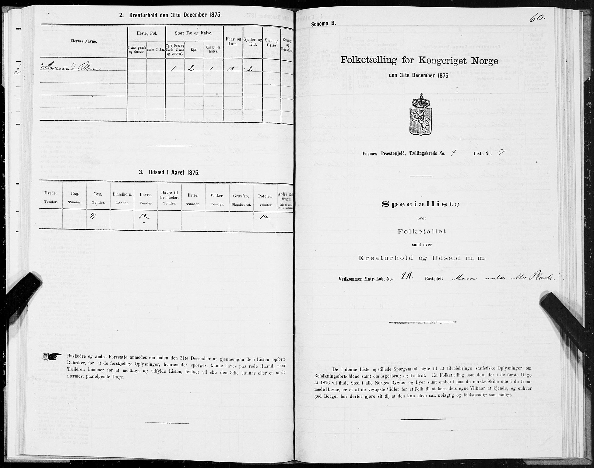 SAT, 1875 census for 1748P Fosnes, 1875, p. 2060