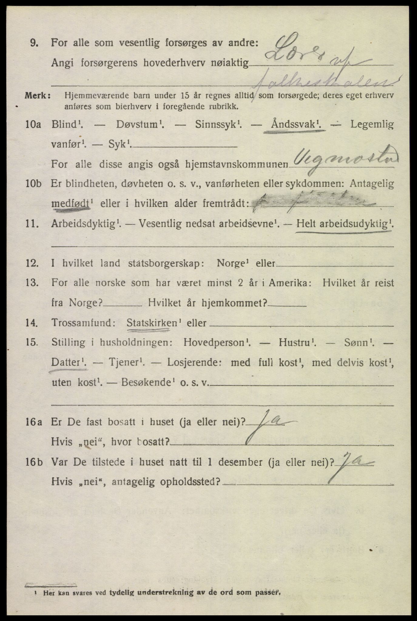 SAK, 1920 census for Vigmostad, 1920, p. 1206