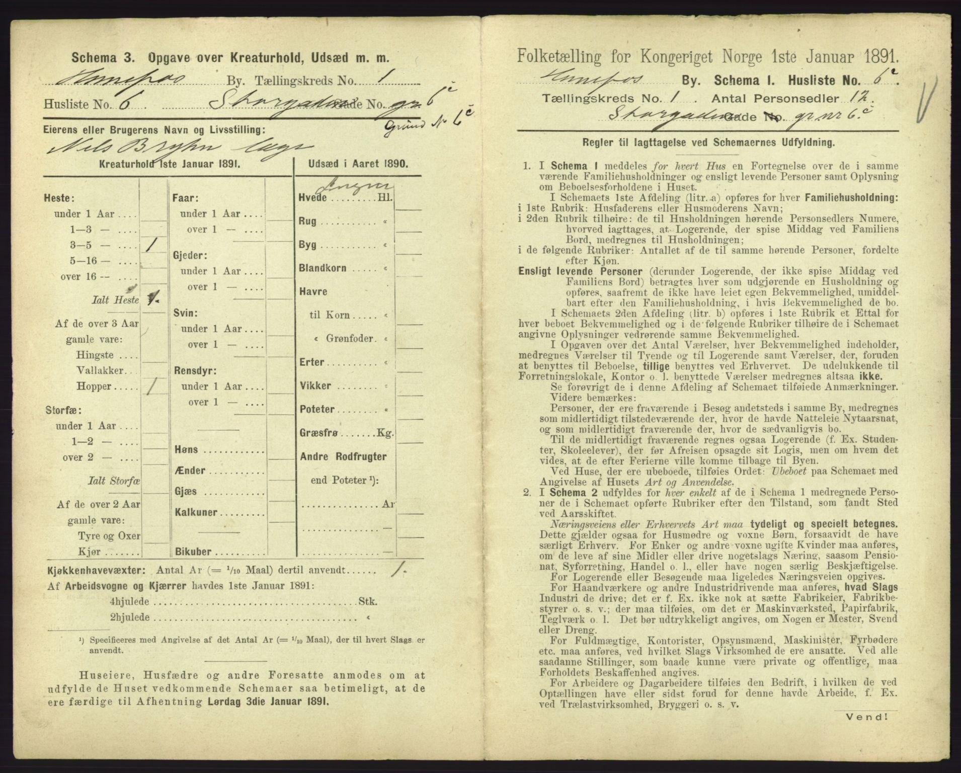 RA, 1891 census for 0601 Hønefoss, 1891, p. 77