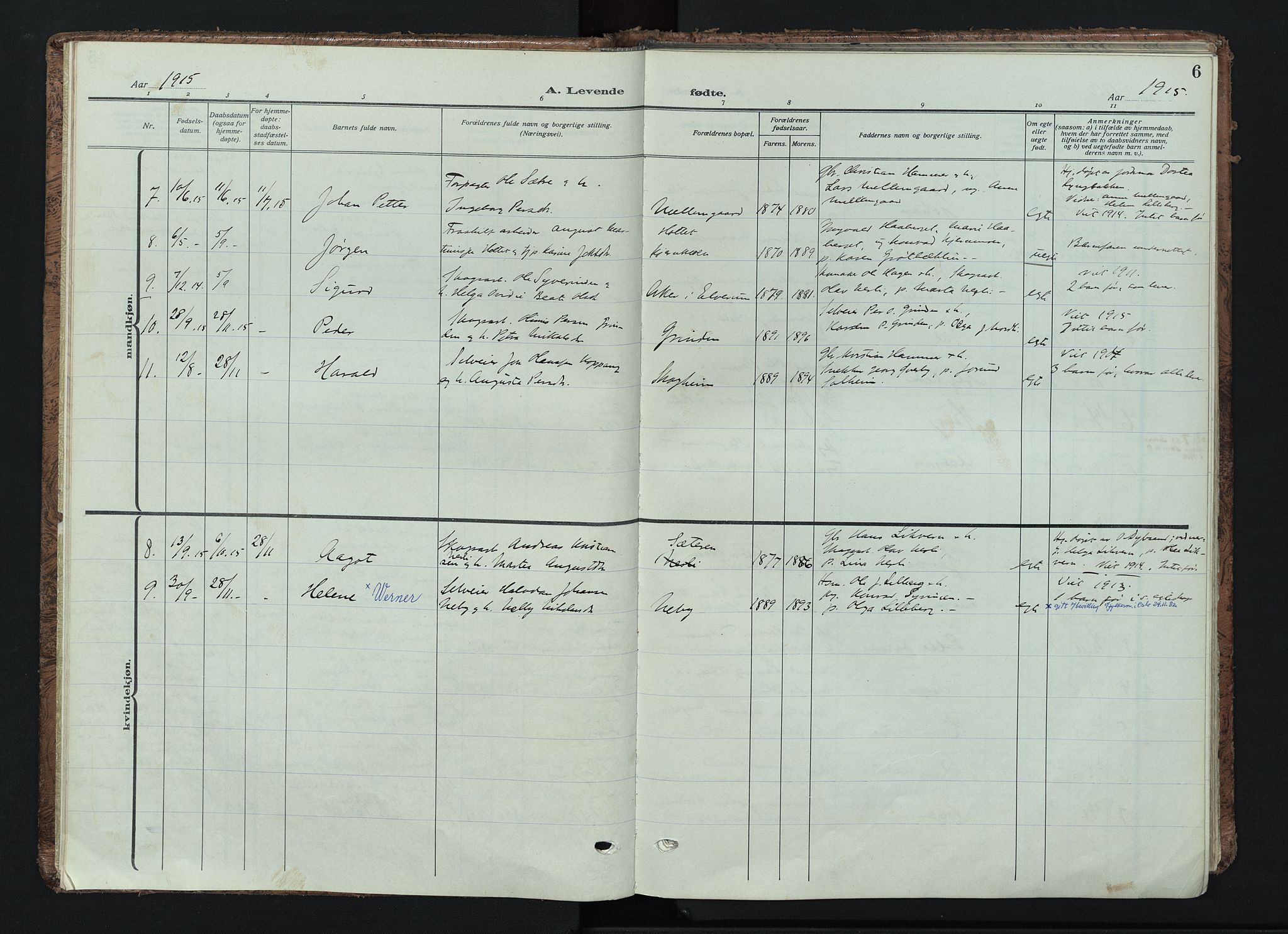 Trysil prestekontor, AV/SAH-PREST-046/H/Ha/Haa/L0016: Parish register (official) no. 16, 1913-1946, p. 6