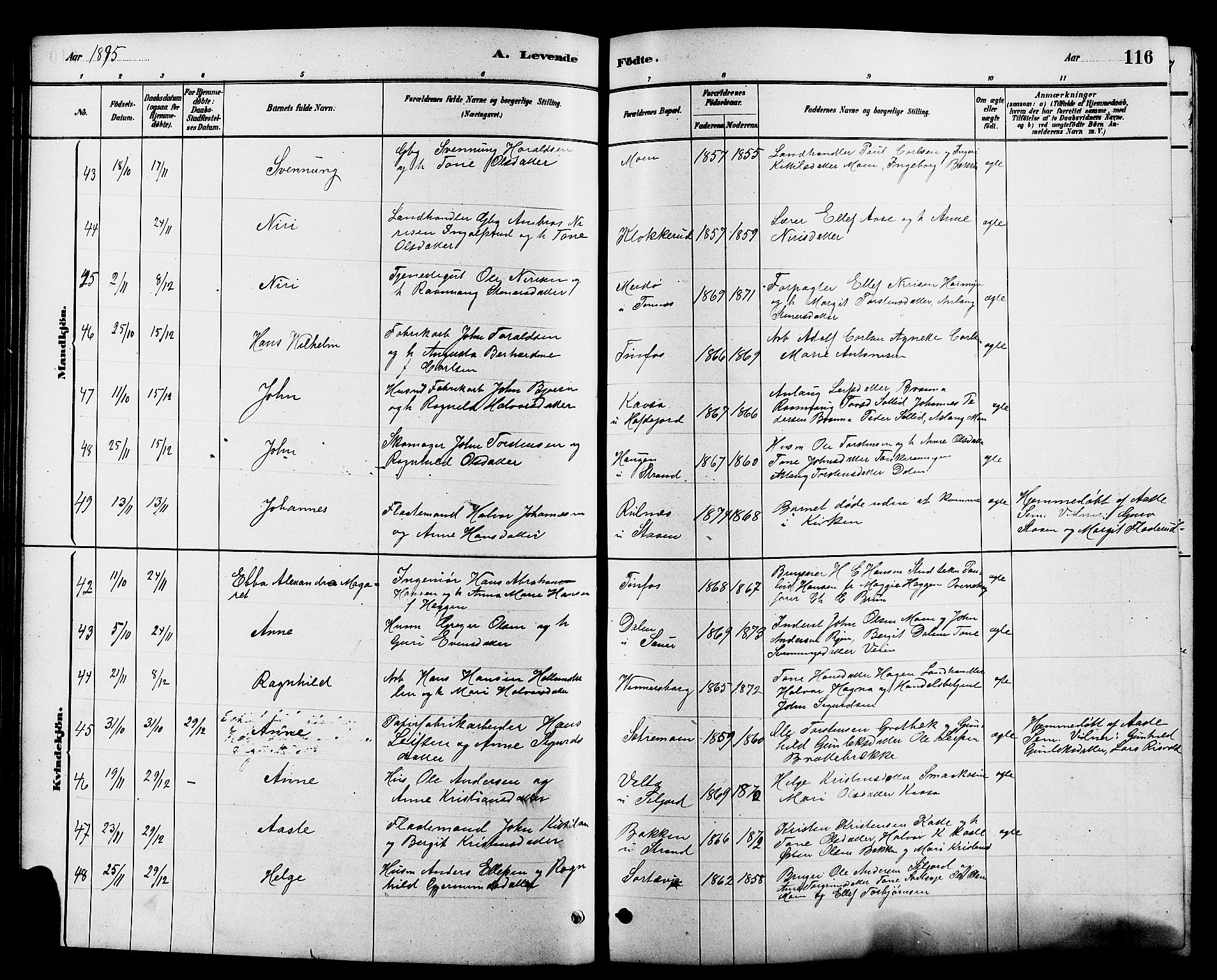Heddal kirkebøker, SAKO/A-268/G/Ga/L0002: Parish register (copy) no. I 2, 1879-1908, p. 116