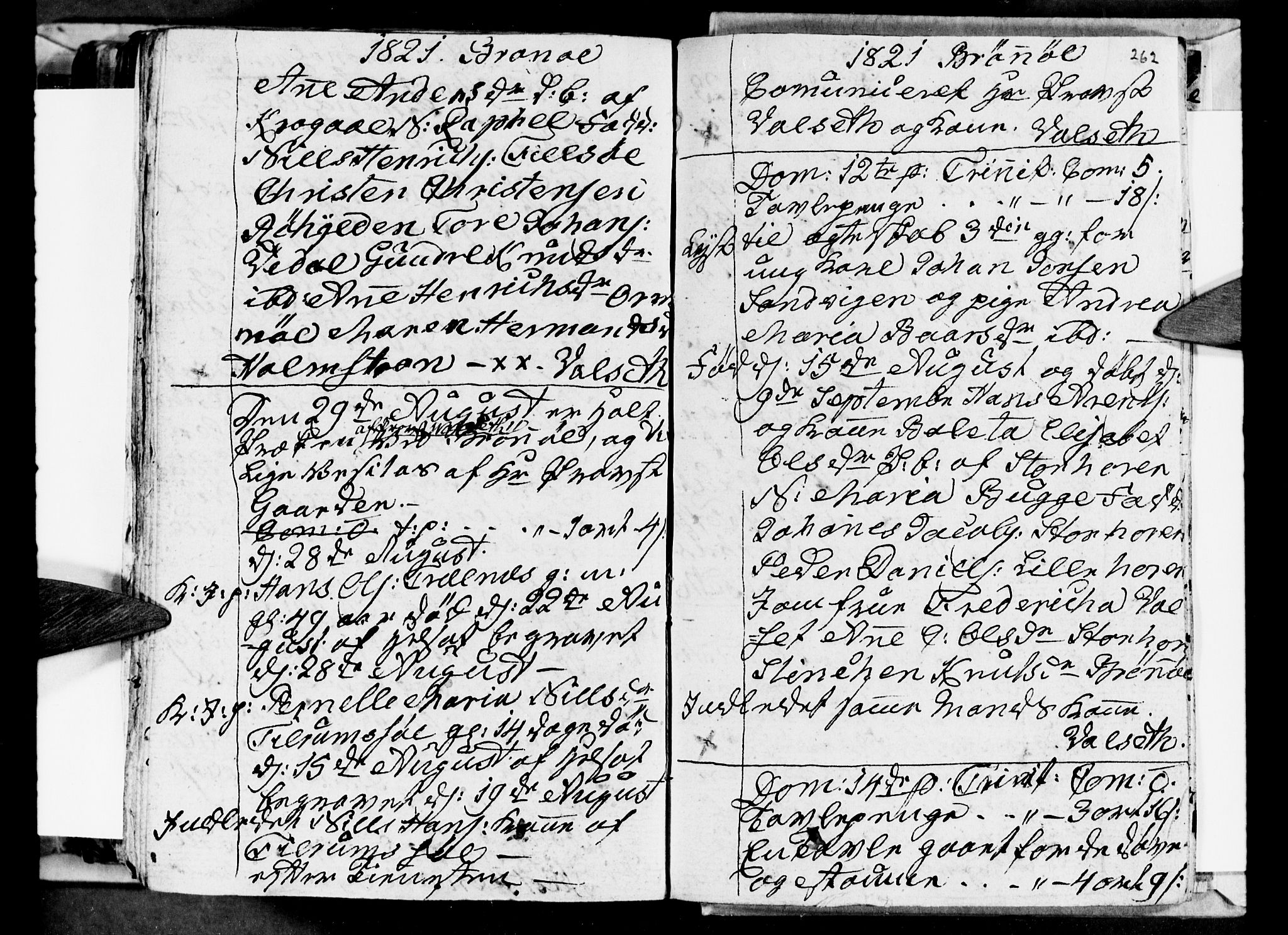 Ministerialprotokoller, klokkerbøker og fødselsregistre - Nordland, AV/SAT-A-1459/813/L0209: Parish register (copy) no. 813C01, 1803-1821, p. 262