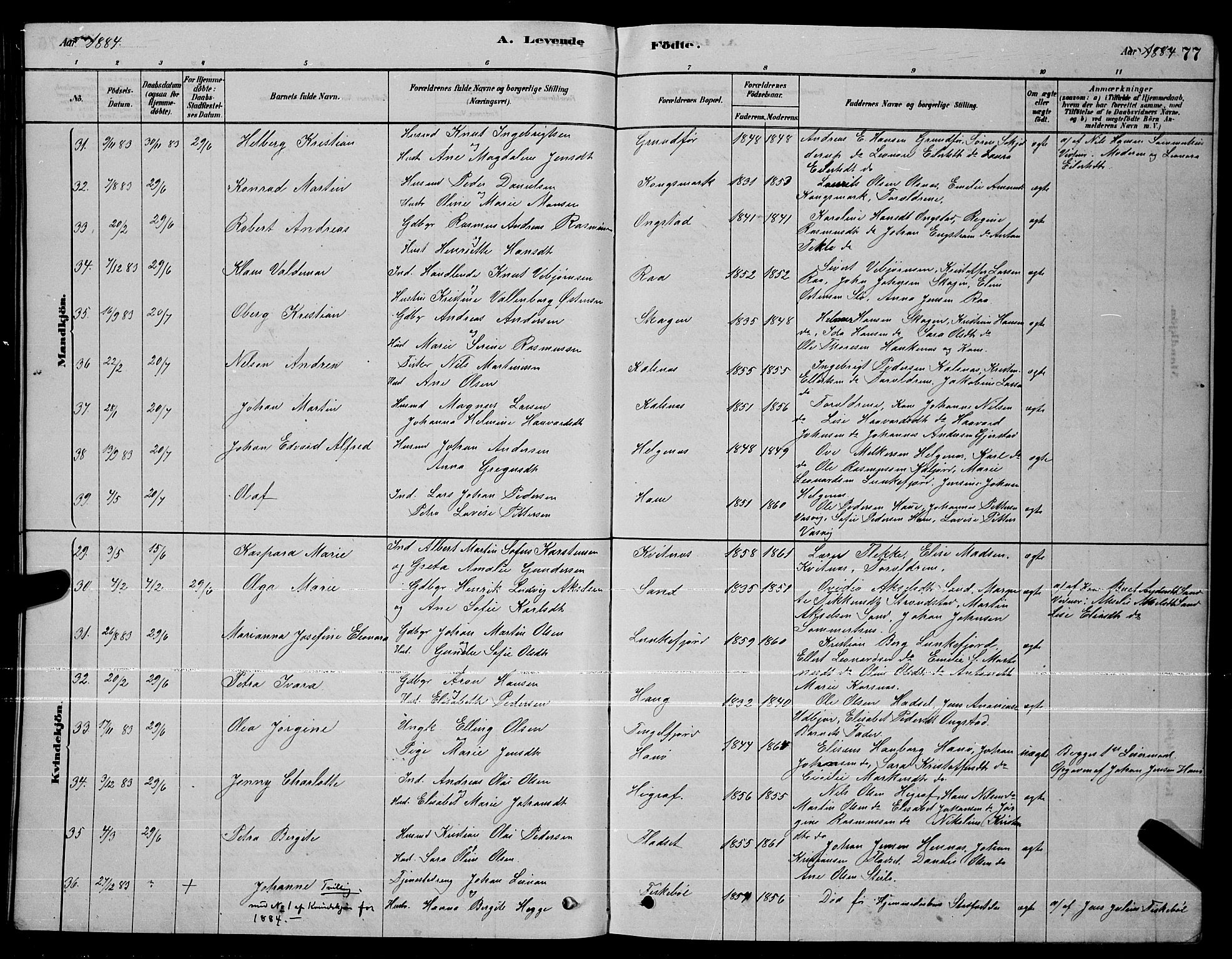 Ministerialprotokoller, klokkerbøker og fødselsregistre - Nordland, SAT/A-1459/888/L1267: Parish register (copy) no. 888C05, 1878-1890, p. 77