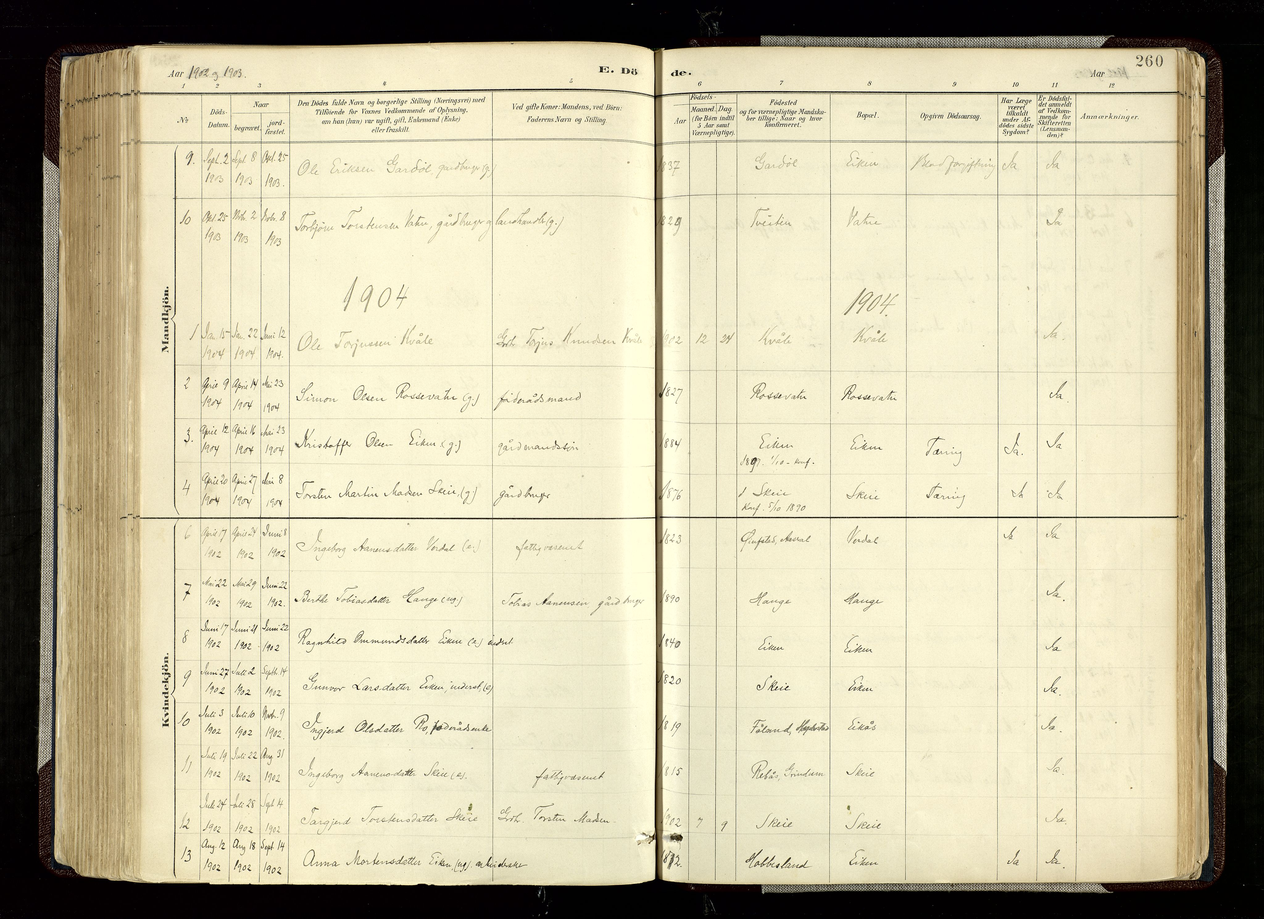 Hægebostad sokneprestkontor, SAK/1111-0024/F/Fa/Fab/L0004: Parish register (official) no. A 4, 1887-1929, p. 260