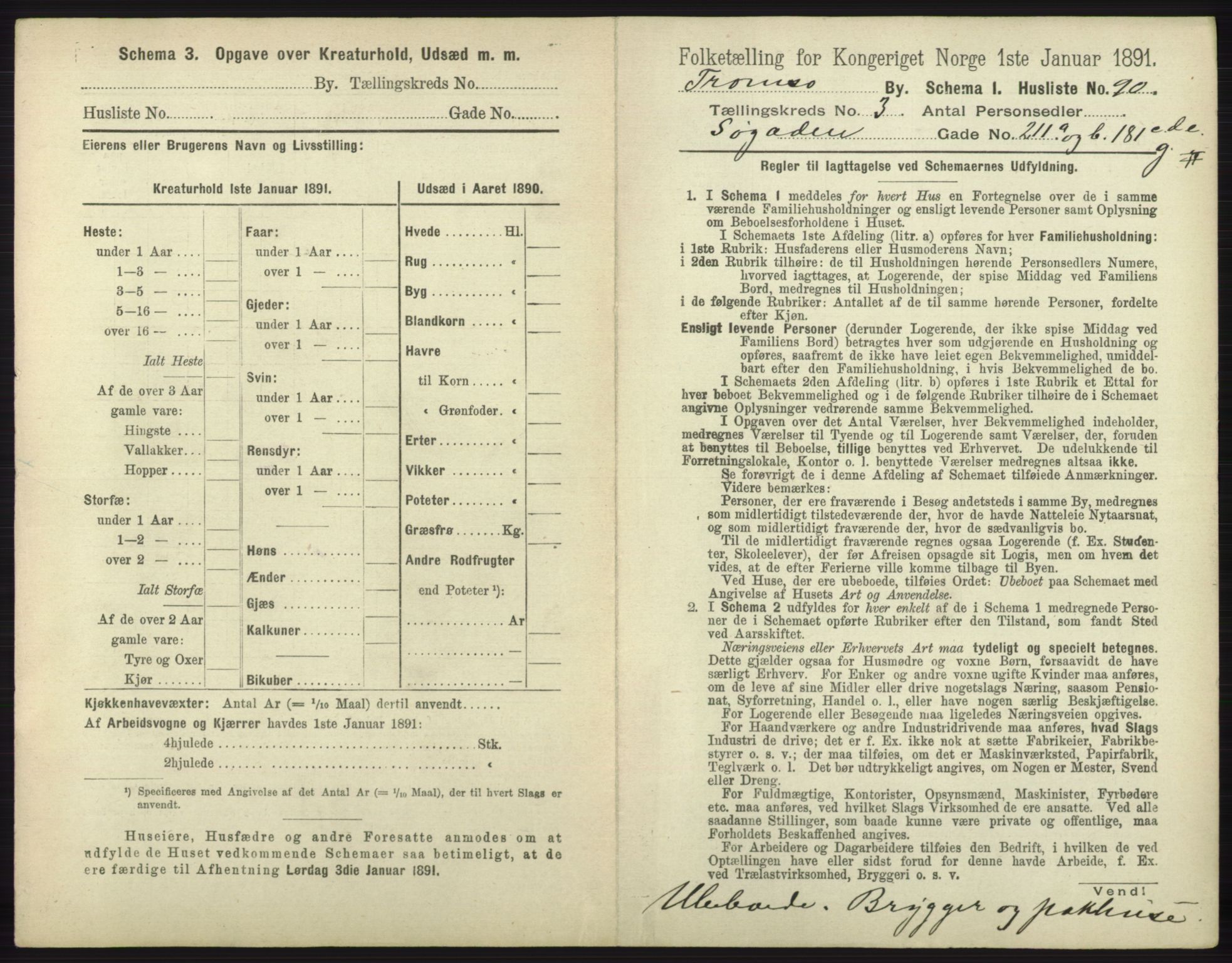 RA, 1891 census for 1902 Tromsø, 1891, p. 3171