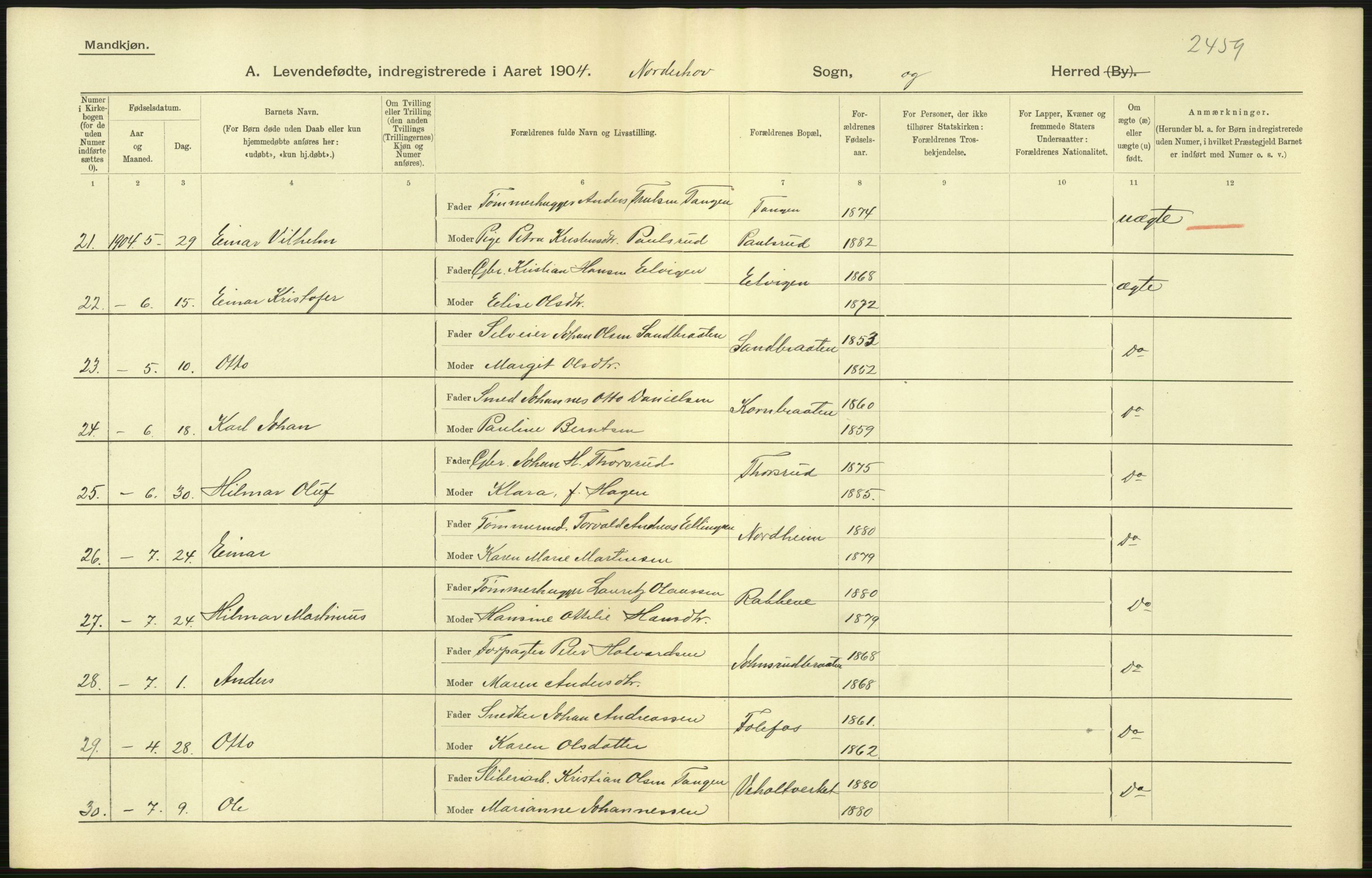 Statistisk sentralbyrå, Sosiodemografiske emner, Befolkning, AV/RA-S-2228/D/Df/Dfa/Dfab/L0007: Buskerud amt: Fødte, gifte, døde, 1904, p. 15