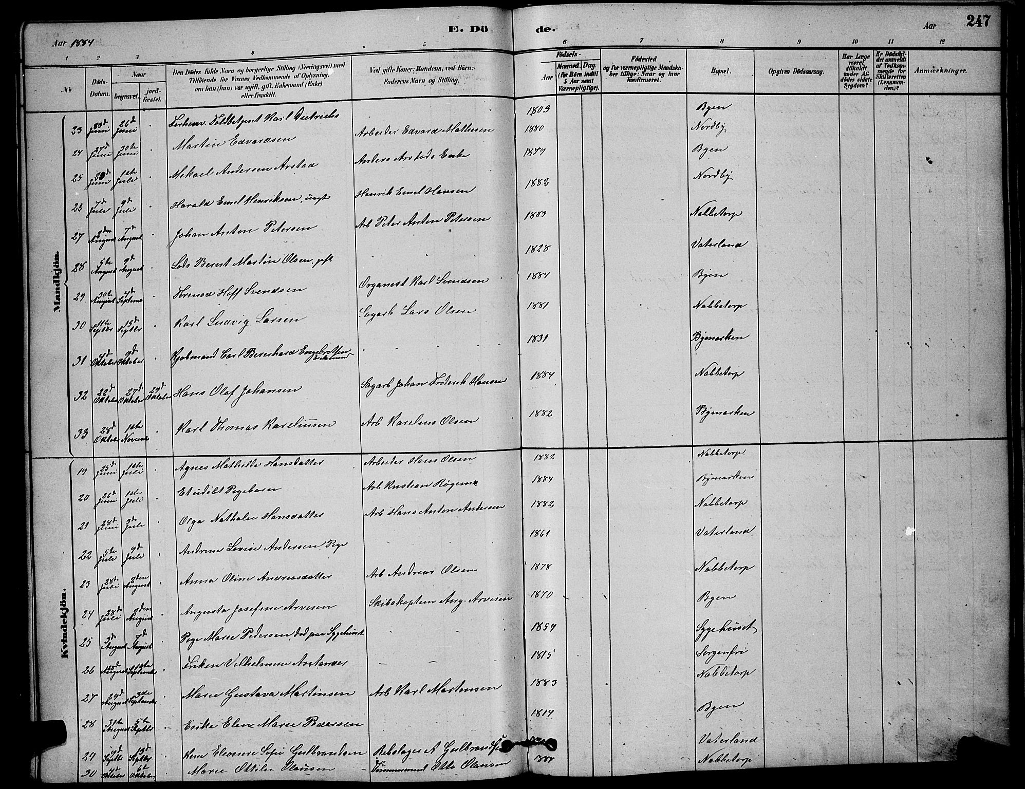 Østre Fredrikstad prestekontor Kirkebøker, SAO/A-10907/G/Ga/L0001: Parish register (copy) no. 1, 1880-1899, p. 247