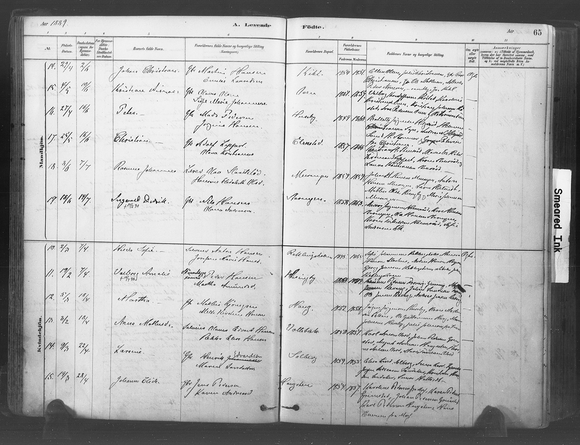 Råde prestekontor kirkebøker, AV/SAO-A-2009/F/Fa/L0007: Parish register (official) no. 7, 1878-1902, p. 65