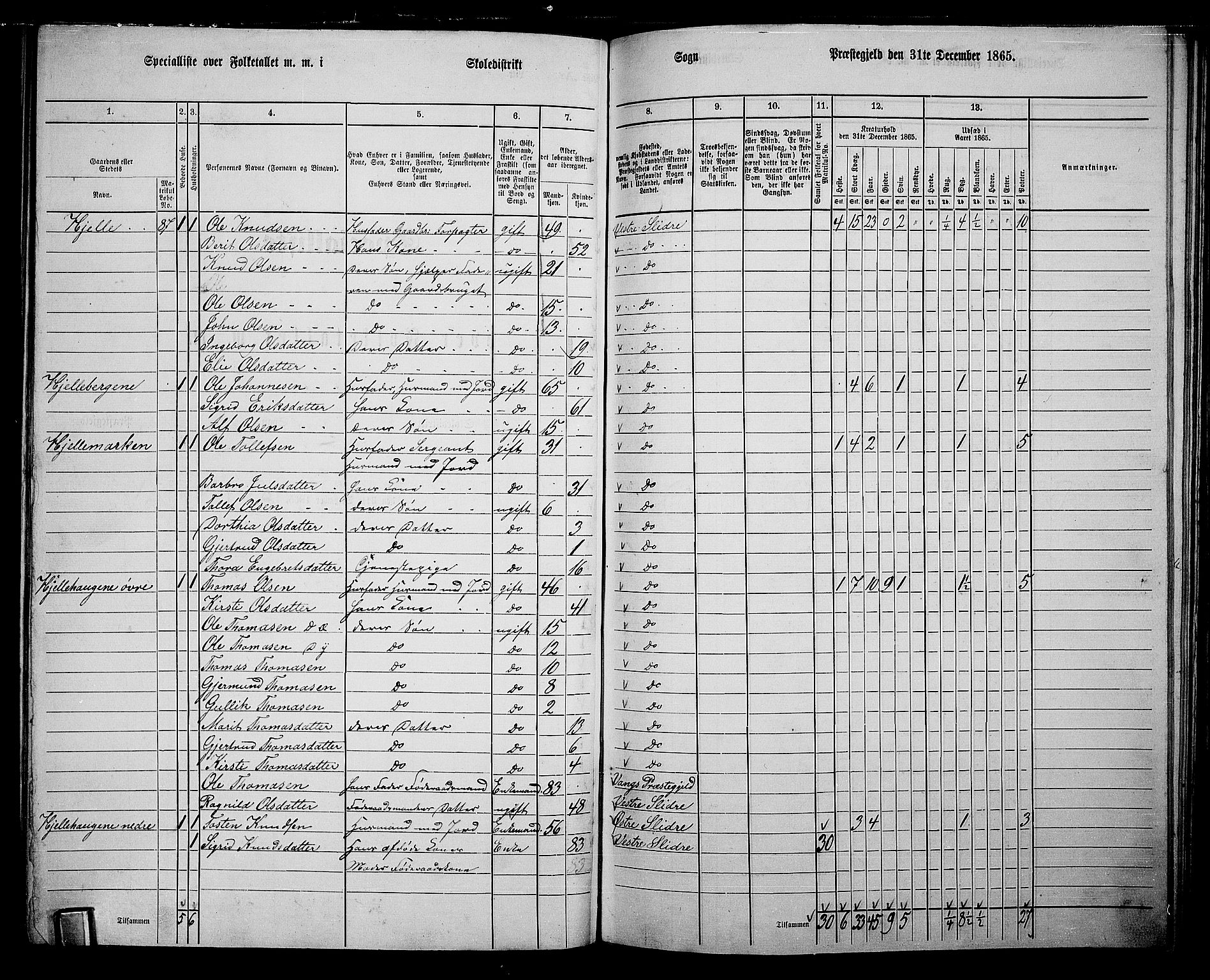 RA, 1865 census for Vestre Slidre, 1865, p. 58