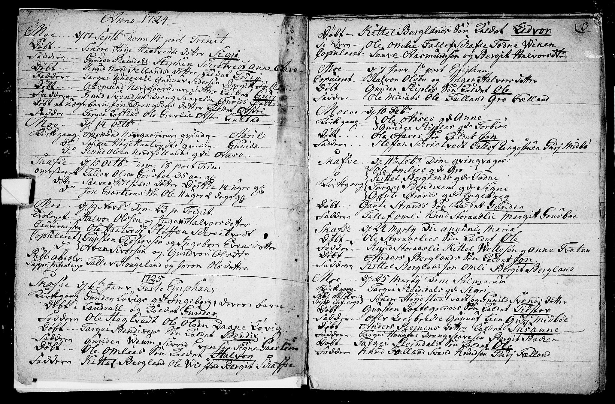 Mo kirkebøker, SAKO/A-286/F/Fa/L0001: Parish register (official) no. I 1, 1724-1748, p. 3